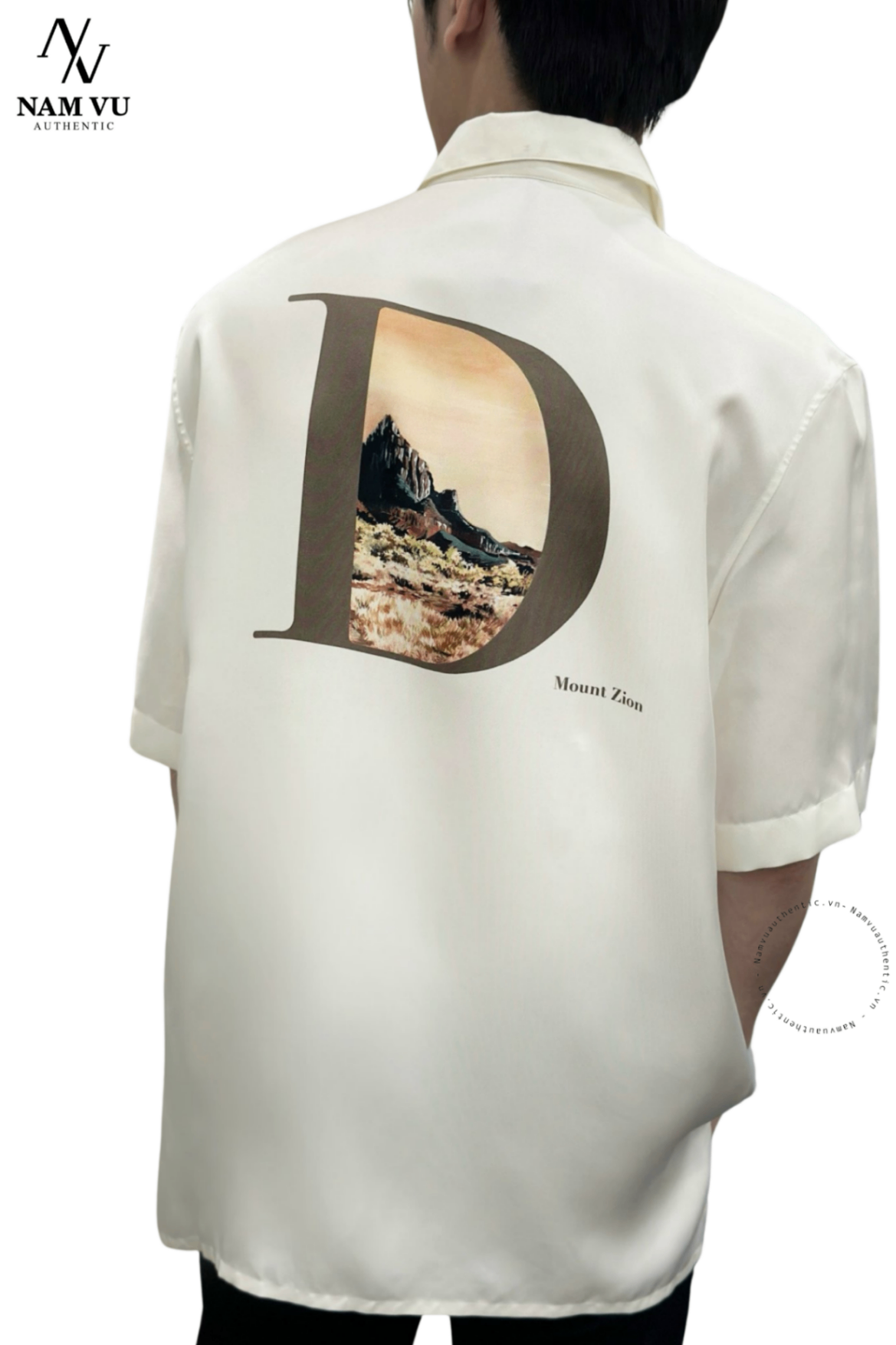 SMDO DIOR MOUNT ZION SILK 193C545C5621 103