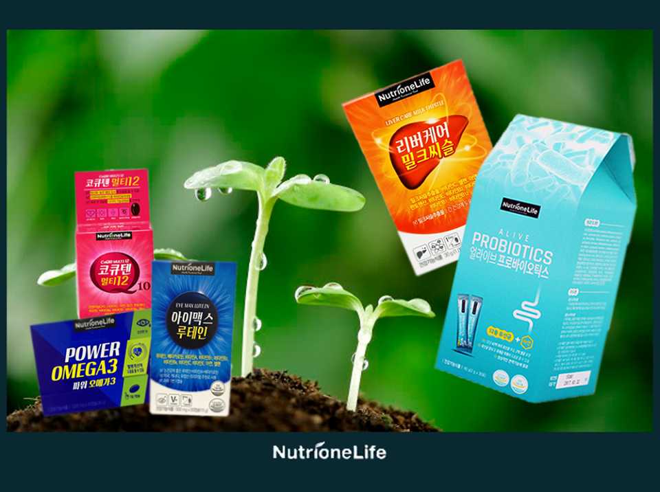 Lựa chọn nào cho thuốc bổ mắt Hàn Quốc