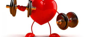 Cách sử dụng thuốc bổ hỗ trợ tim mạch hiệu quả