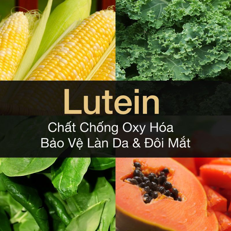 LUTEIN – TRỢ THỦ ĐẮC LỰC TĂNG CƯỜNG THỊ LỰC CHO MẮT