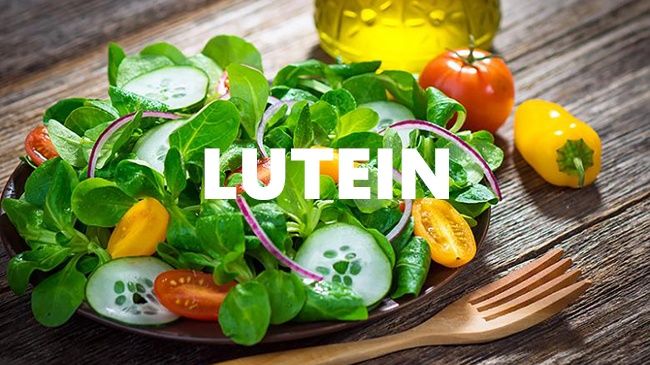 Uống thuốc bổ mắt như thế nào? Lutein trợ thủ cho đôi mắt khỏe
