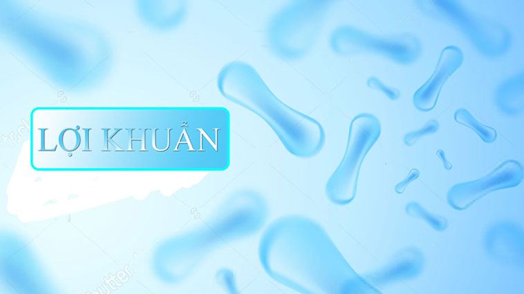 Nên uống men tiêu hoá trước hay sau khi ăn?