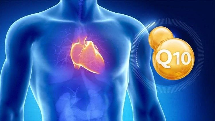 Tác Dụng Của Coenzyme Q10