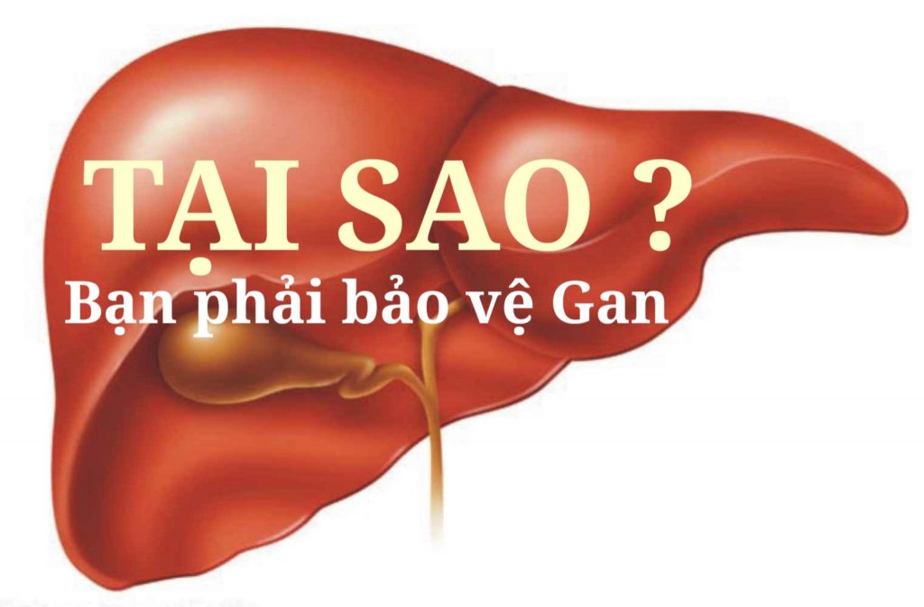 THUỐC BỔ GAN CÓ ẢNH HƯỞNG GÌ KHÔNG