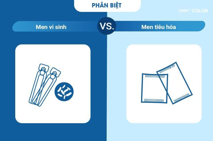 men tiêu hóa nào tốt