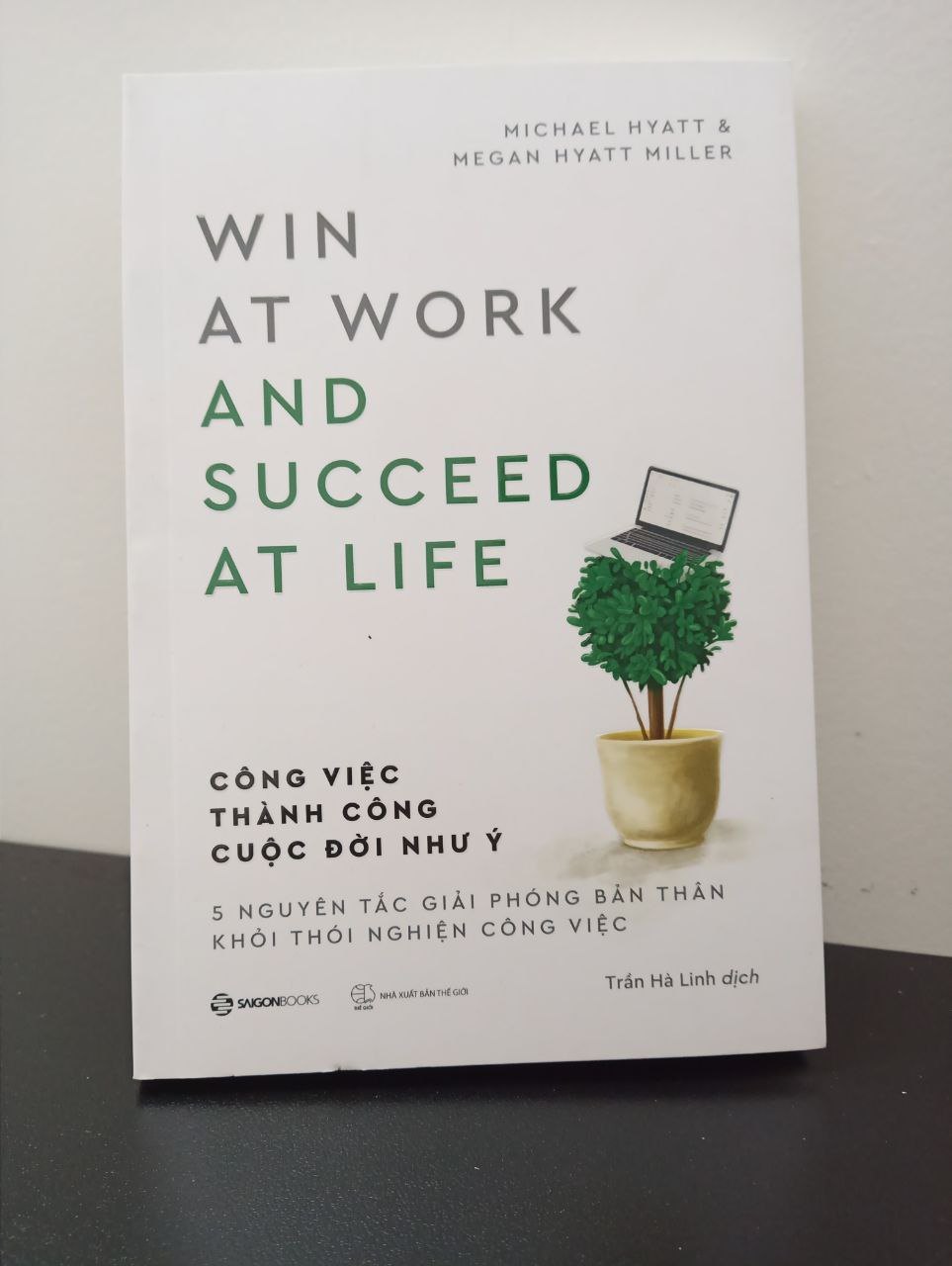 Công Việc Thành Công - Cuộc Đời như Ý Megan Hyatt Miller, Michael Hyatt New 95% HCM.ASB2302