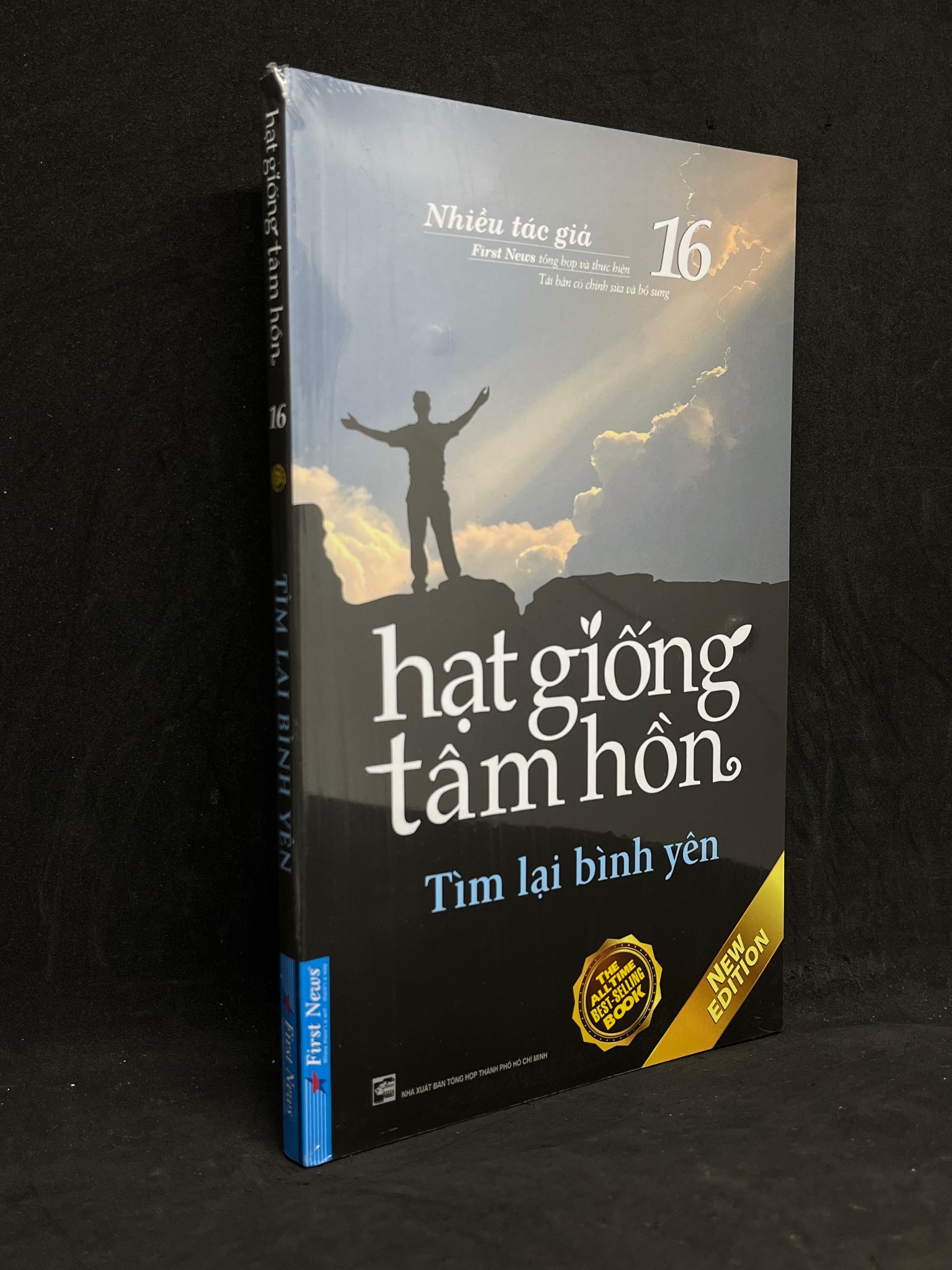 Hạt Giống Tâm Hồn 16: Tìm Lại Bình Yên - Nhiều Tác Giả new 100% HCM.ASB1105