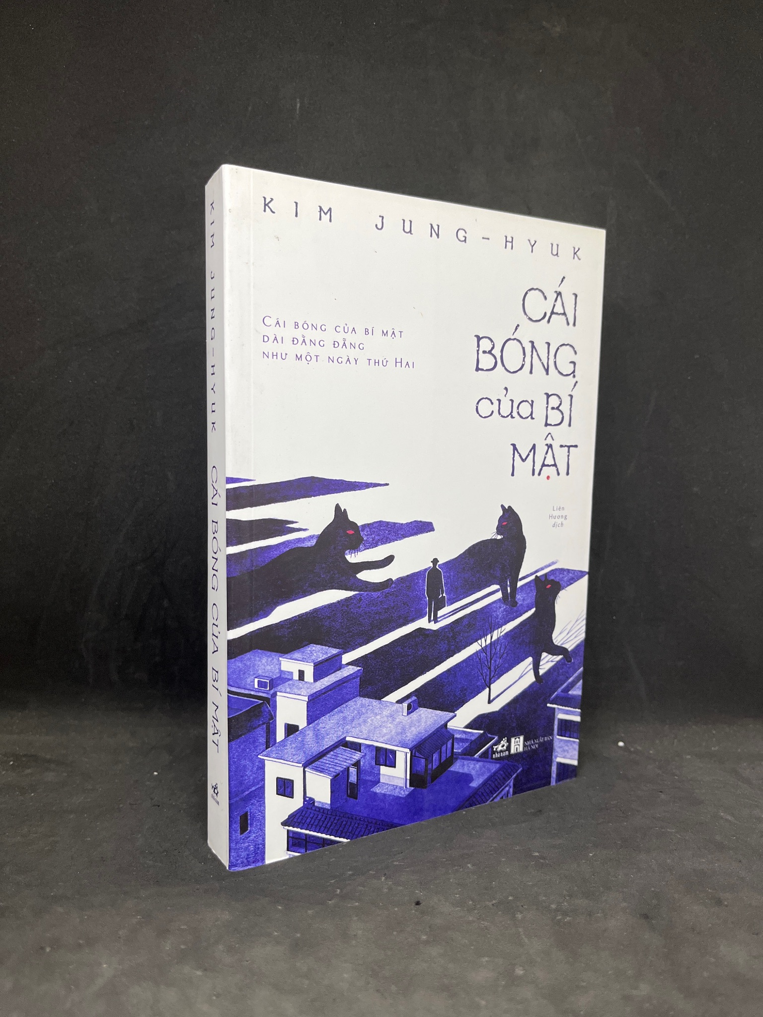 Cái Bóng Của Bí Mật - Kim Jung Hyuk new 90% HPB.HCM0906