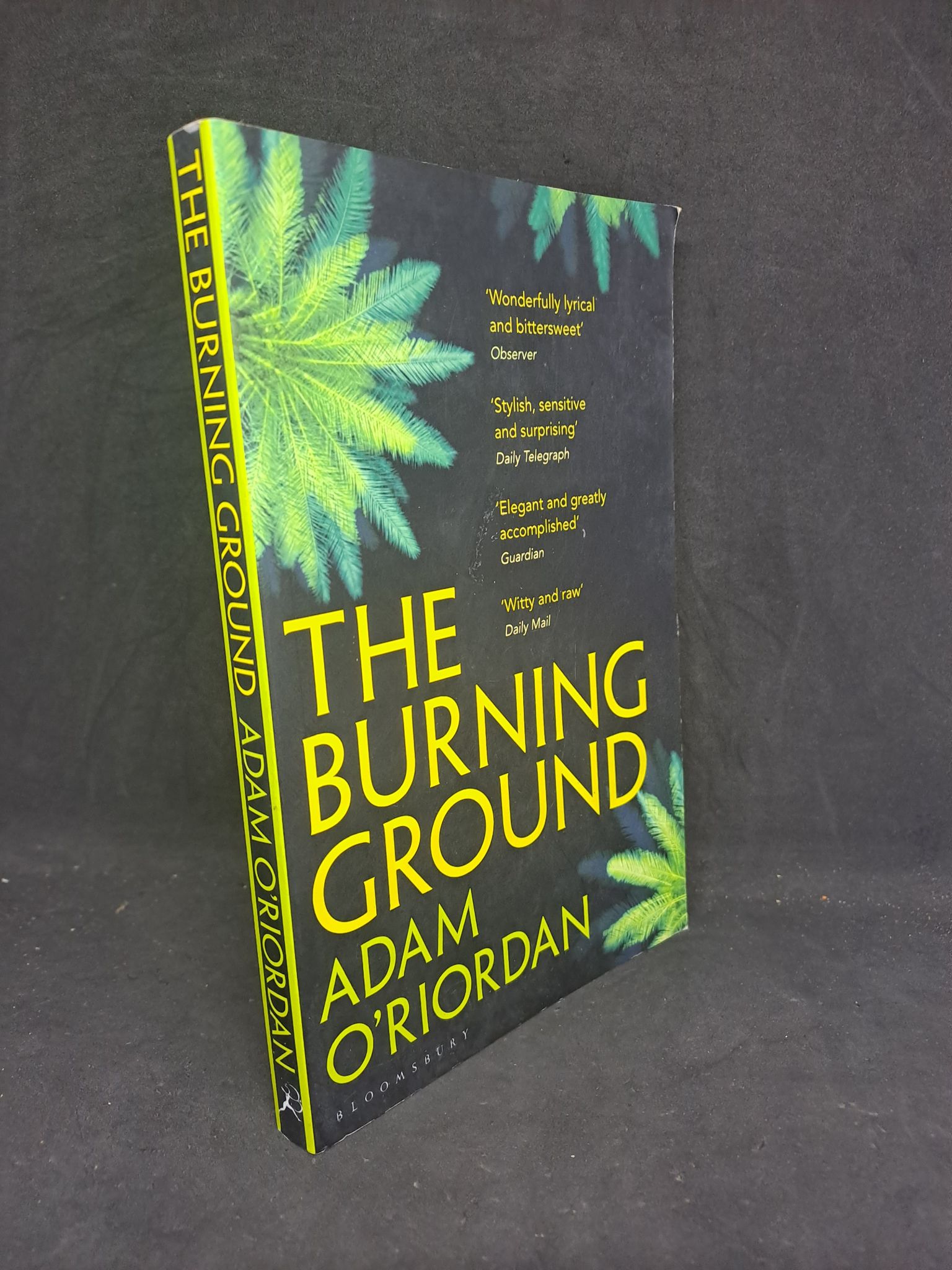 The Burning Ground - Adam O'riordan mới 80% HCM1207