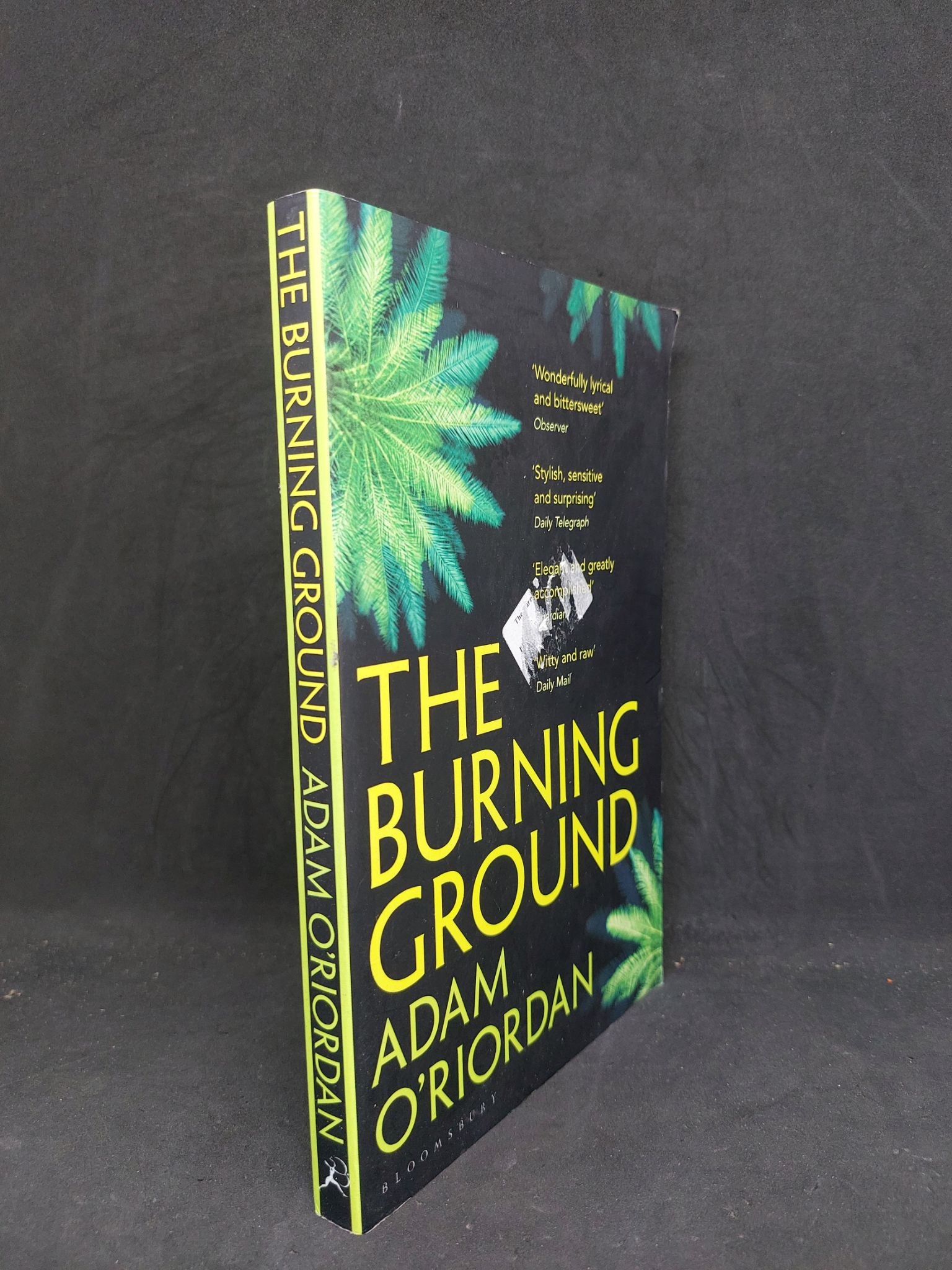 The burning ground adam O'riordan mới 80% HCM1207