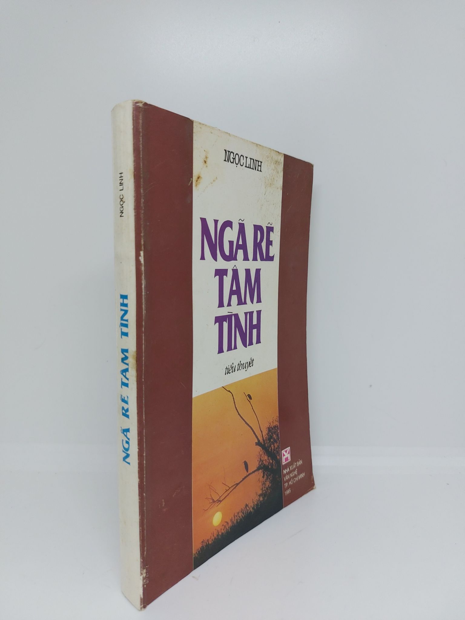 Ngã rẽ tâm tình mới 80% 1995 HCM.ANTQ1409