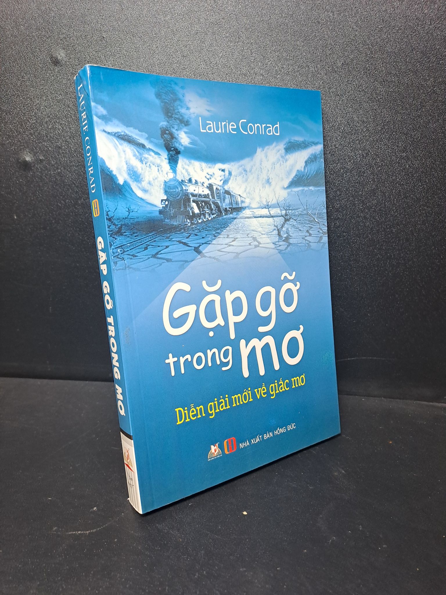 Gặp gỡ Trong Mơ diễn giải mới về giấc mơ 2014 mới 90% HPB.HCM2609