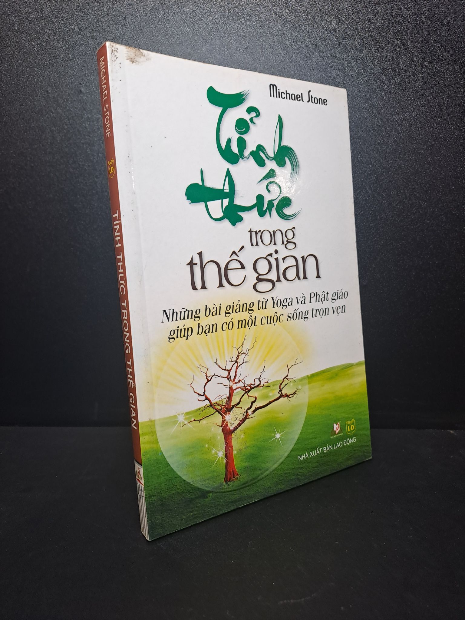 Tỉnh thức trong thế gian 2013 Michael Stone mới 90% HPB.HCM0310