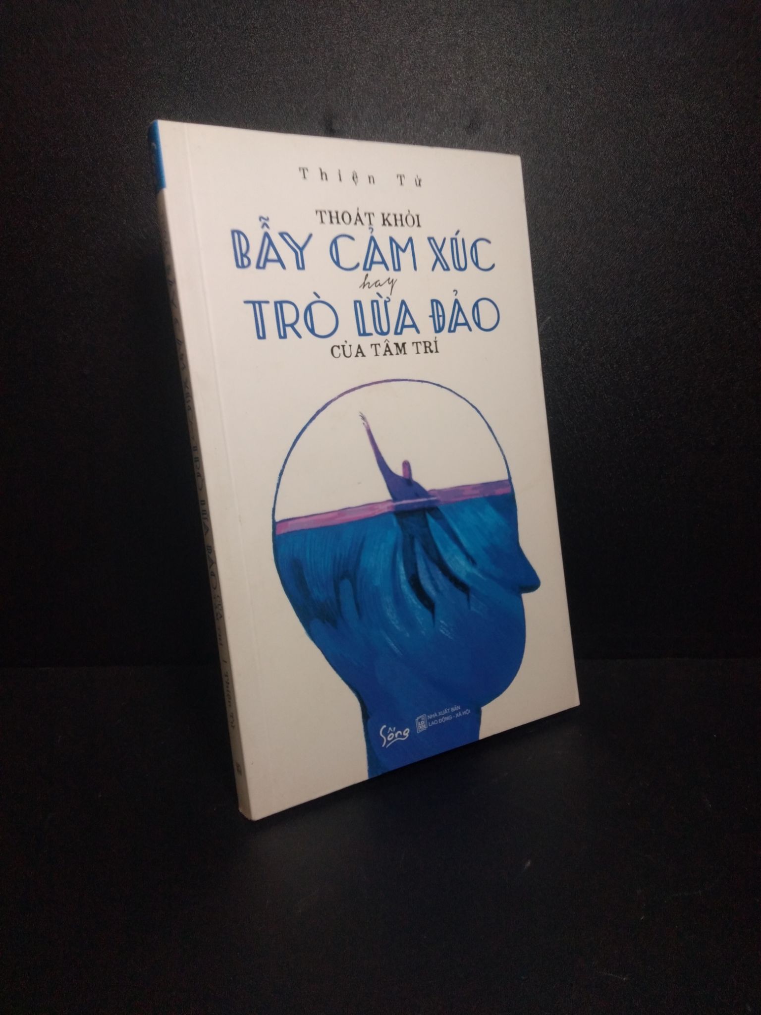 Thoát khỏi bẫy cảm xúc hay trò lừa đảo của tâm trí hiện tử 2019 mới 80% HPB.HCM1910