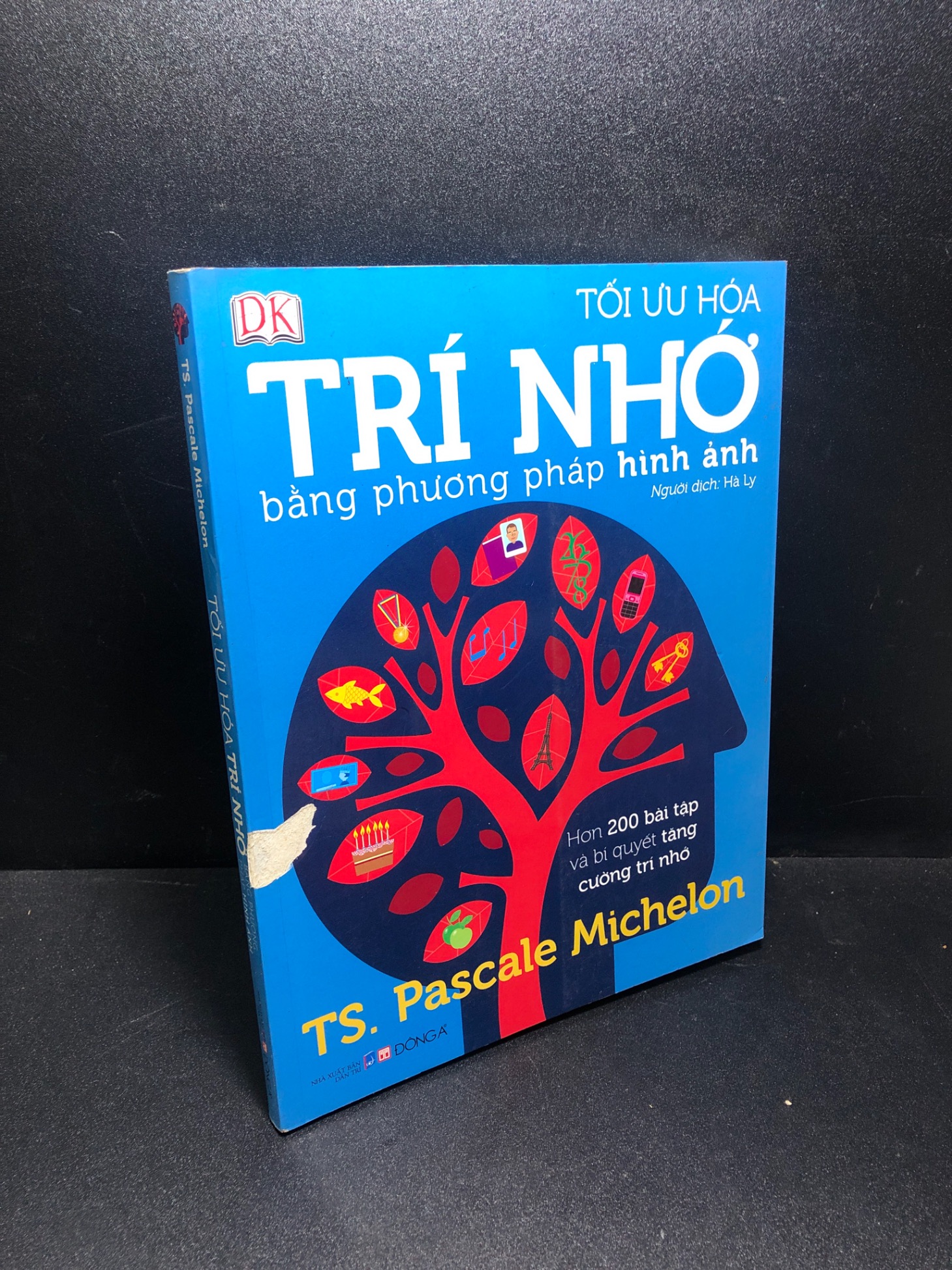 Tối ưu hóa trí nhớ bằng phương pháp hình ảnh TS Pascale Michelon mới 85% bẩn nhẹ, tróc bìa HPB.HCM0311