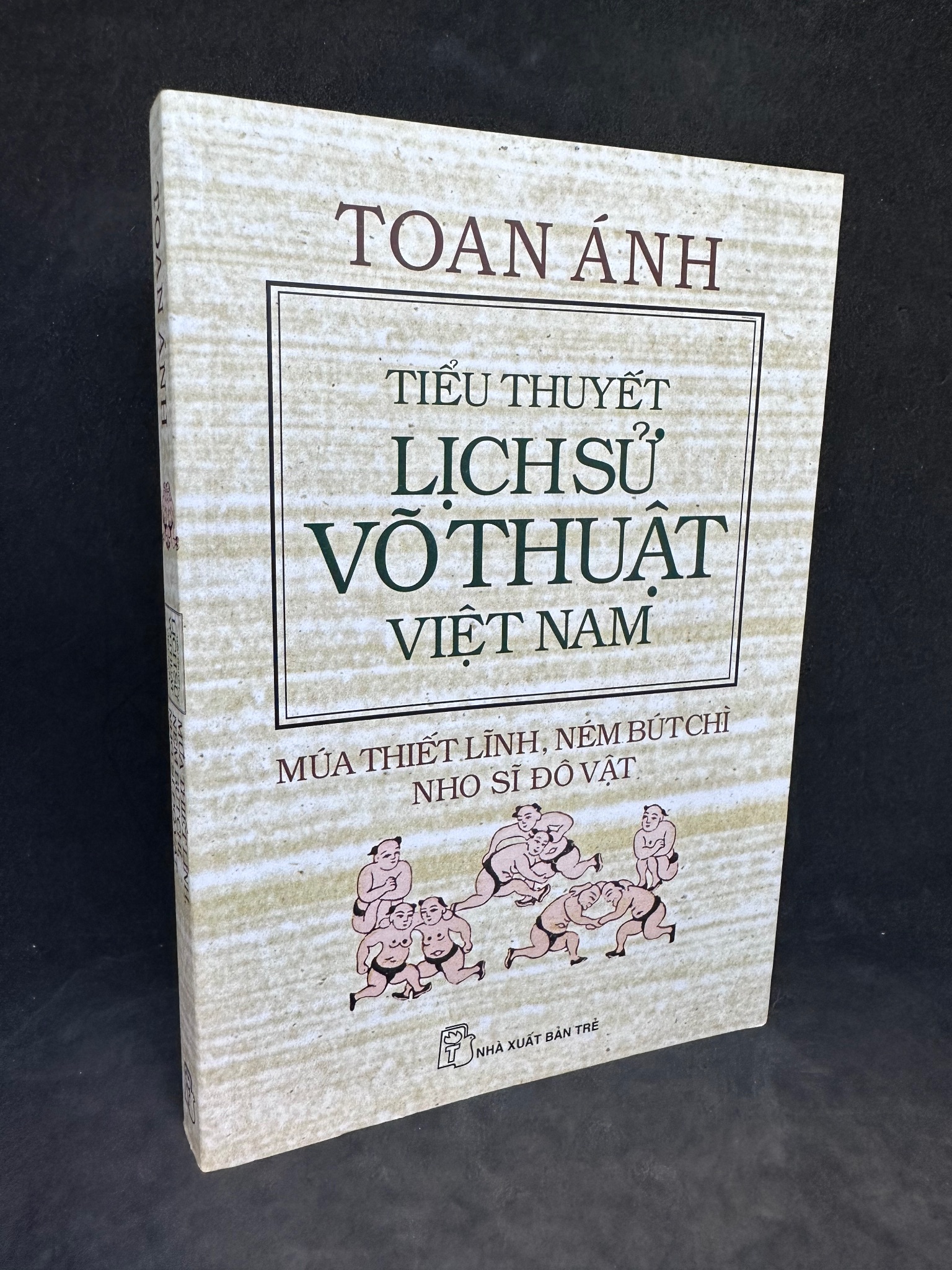 Tiểu thuyết lịch sử võ thuật Việt Nam - Múa thiết lĩnh, ném bút chì, nho sĩ đô vật, Toan Ánh, 2011, mới 90% SBM0812