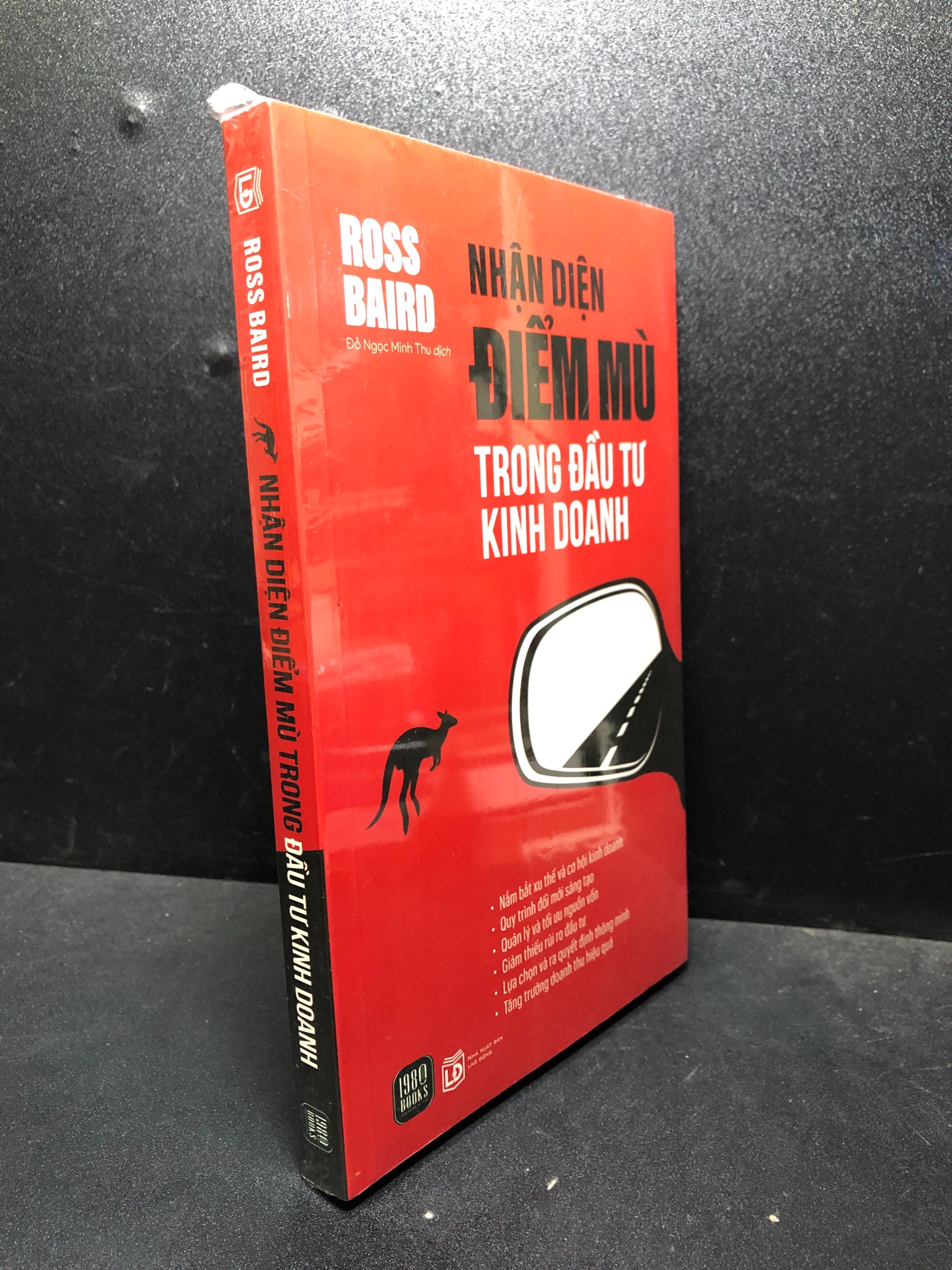 Nhận diện điểm mù trong đầu tư kinh doanh Ross Baird new 100% HCM.ASB0201 kinh doanh