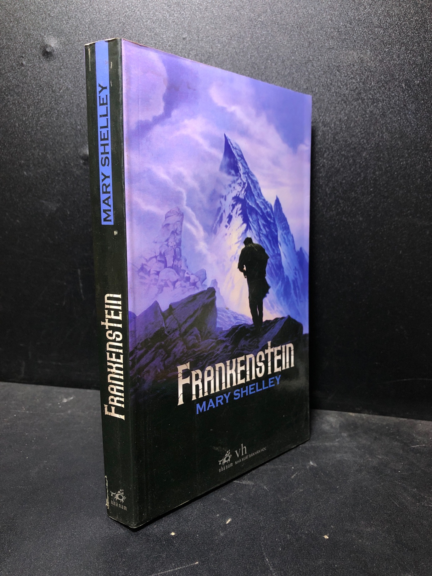 Frankenstein 2009 Mary Shelley mới 85% ố nhẹ (văn học) HCM3012