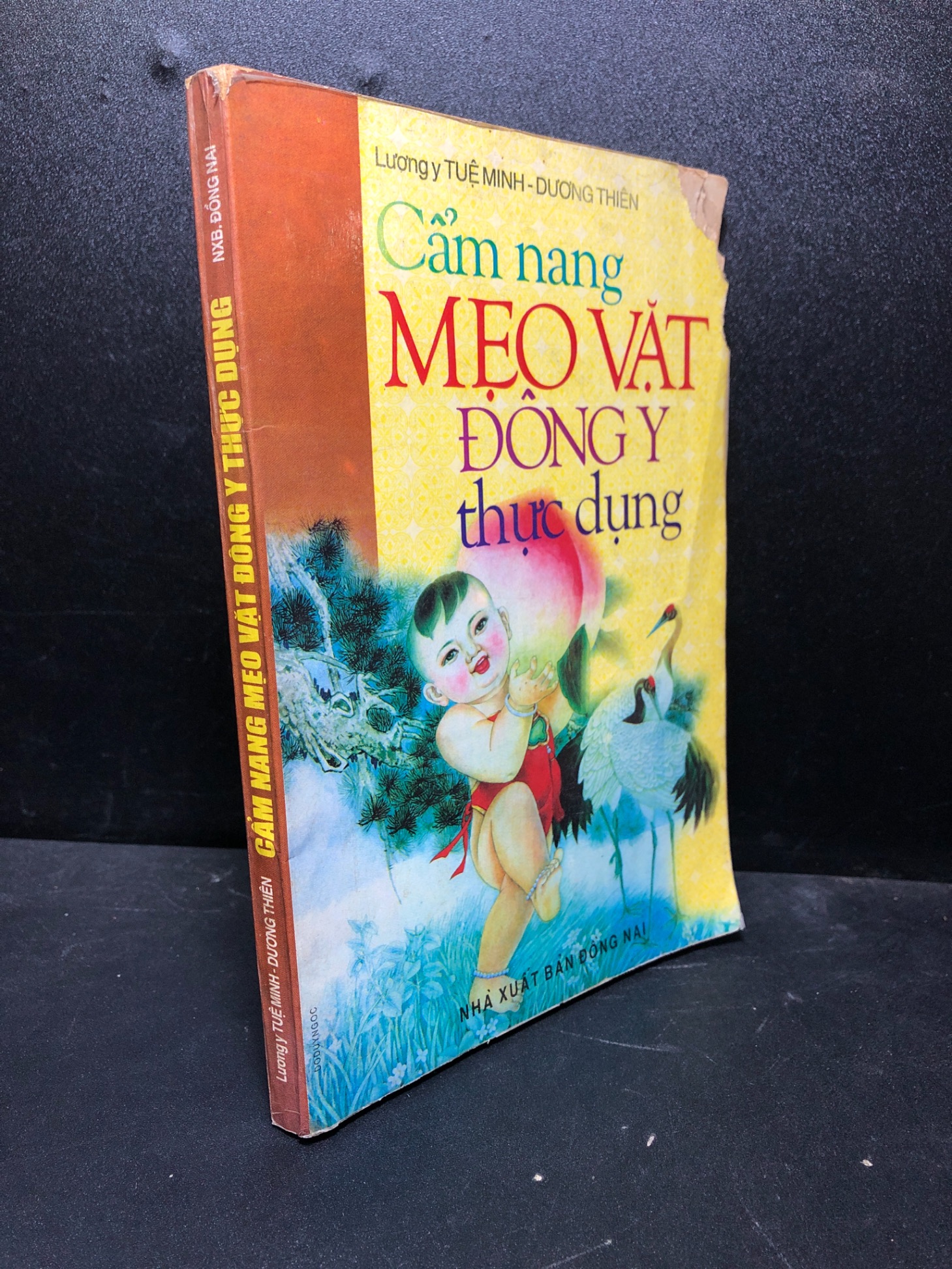 Cẩm nang mẹo vặt Đông Y thực dụng Lương y Tuệ Minh bị mọt ố vàng bẩn bìa tróc gáy new 90% HPB.HCM0601 y học