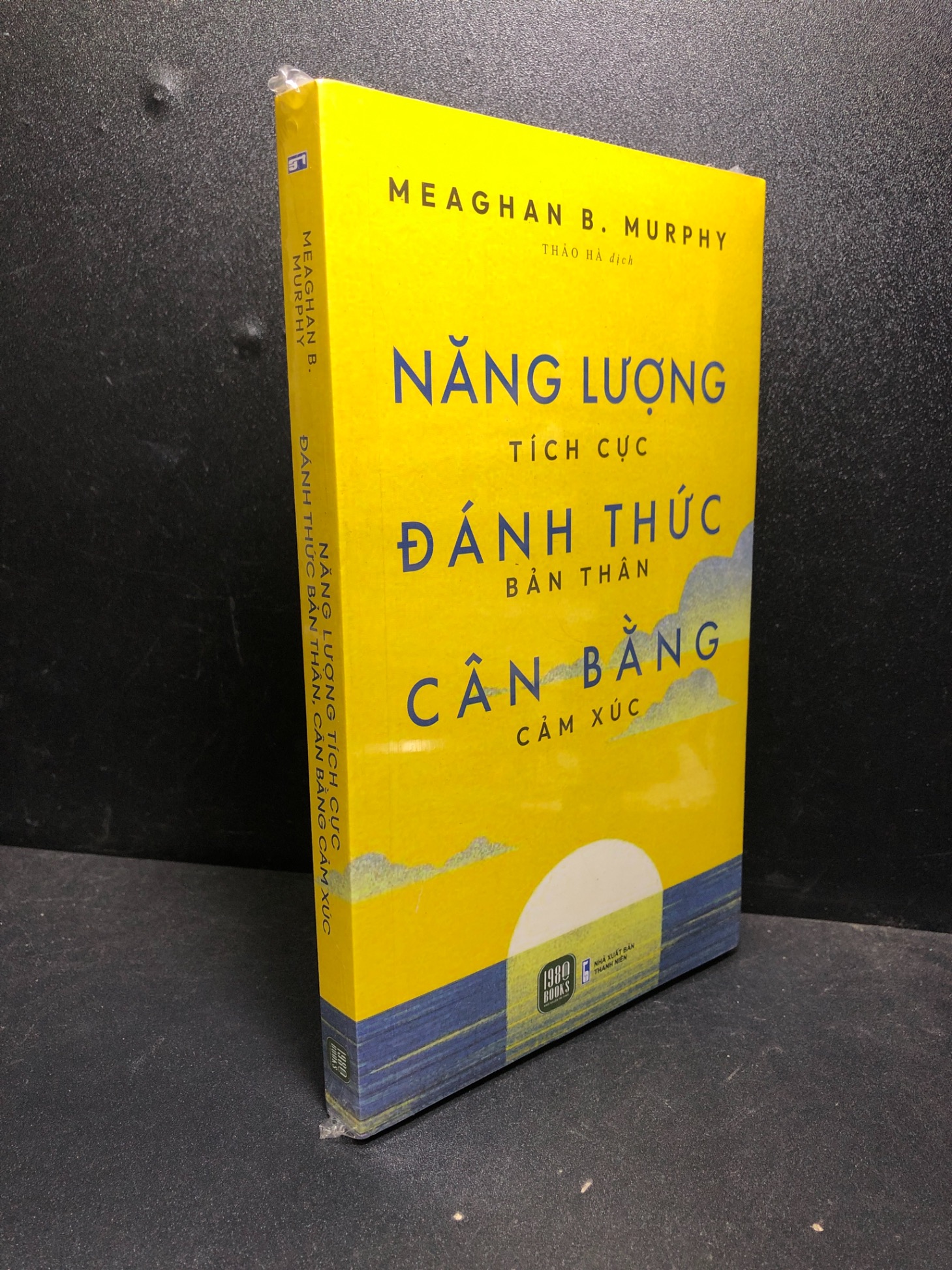 Năng lượng tích cực đánh thức bản thân cân bằng cảm xúc Meaghan B.Murphy new 100% HCM.ASB0301 kỹ năng, tư duy