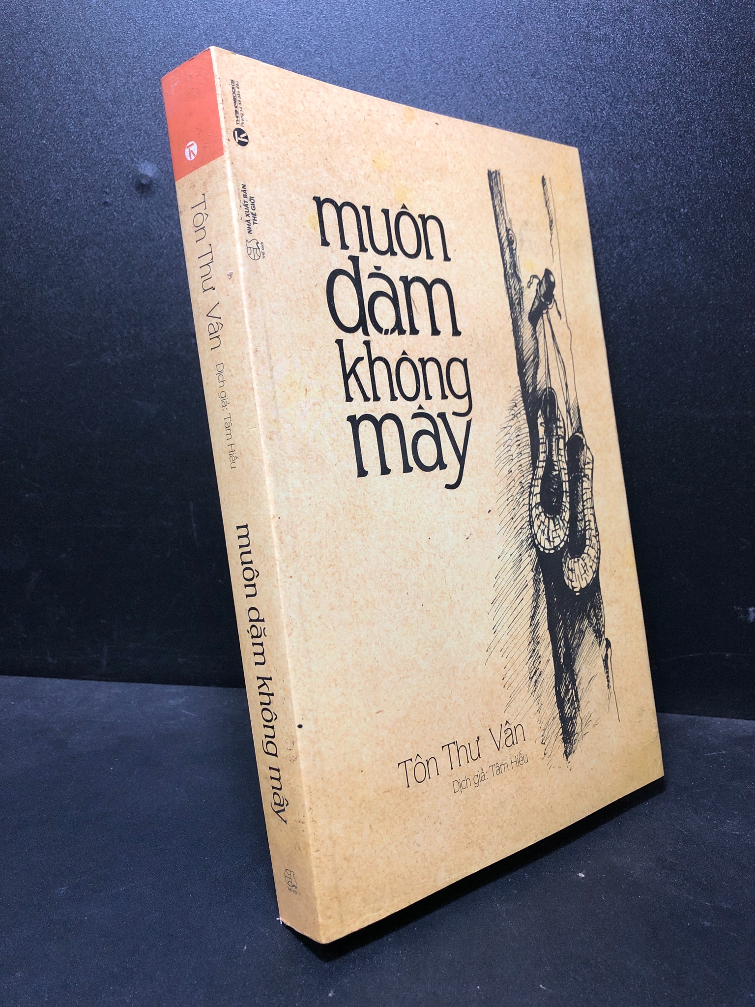 Muôn dặm không mây 2015 Tôn Thư Vân mới 80% ố (tôn giáo , tâm linh)  HCM.SBM2301