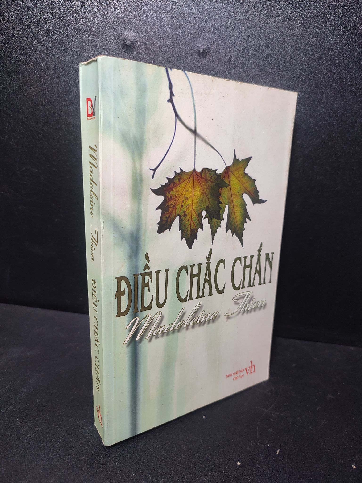 Điều chắc chắn 2008 Madeleine Jhien mới 85% ố nhẹ, bung gáy (văn học) HPB.HCM2701