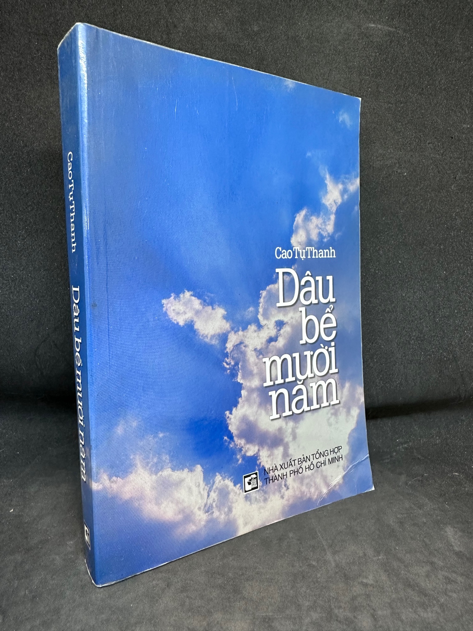 Dâu Bể Mười Năm - Cao Tự Thanh, mới 80% (ố nhẹ), 2004 SBM0202