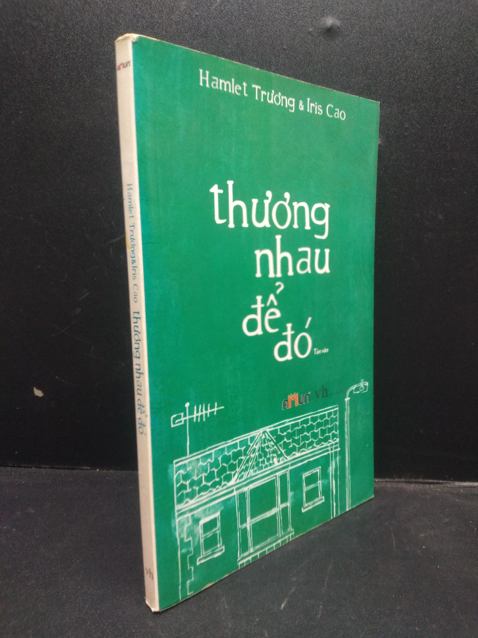 Thương nhau để đó năm 2012 mới 70% ố vàng nặng HCM2602 văn học