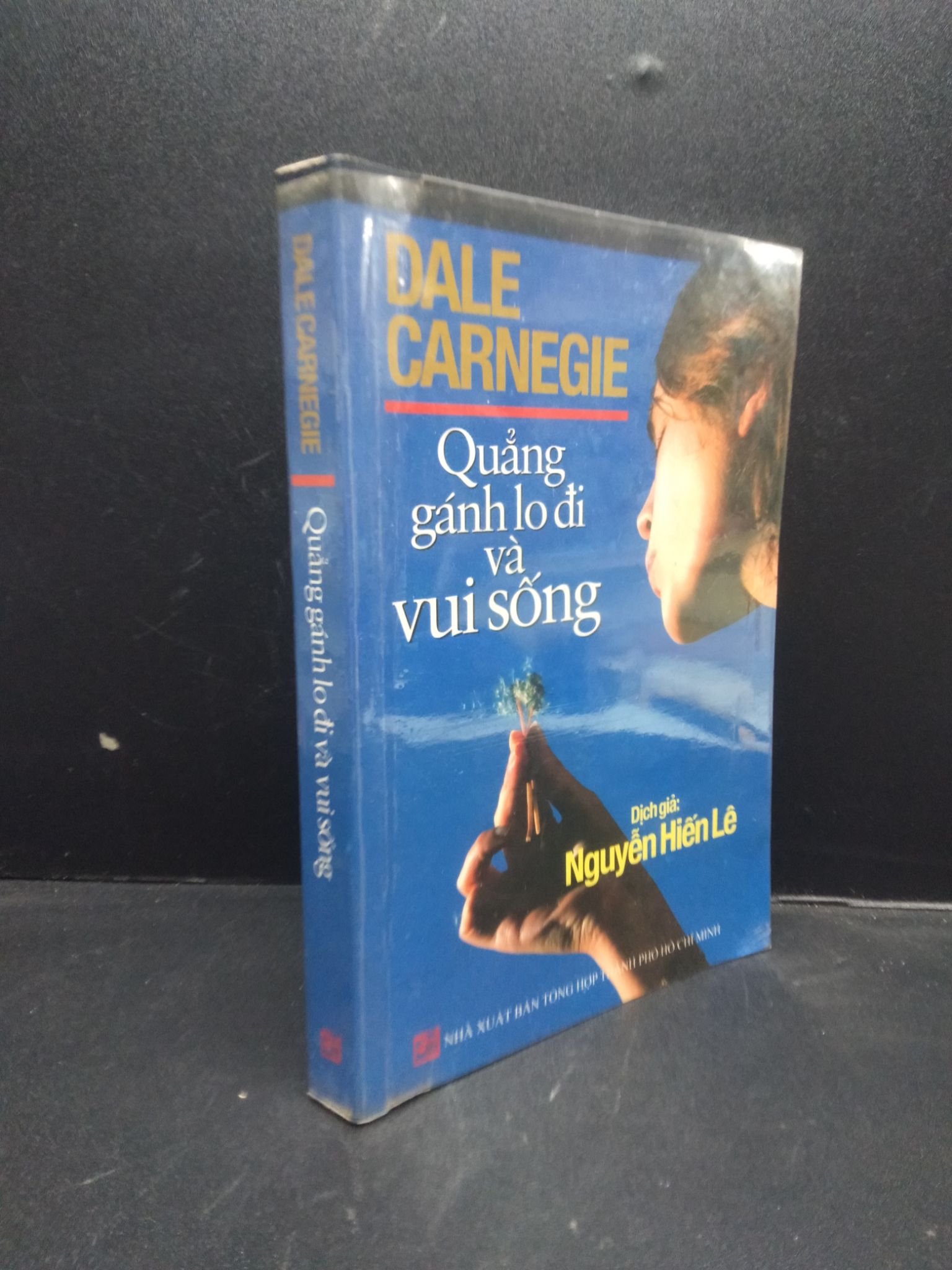 Quẳng gánh lo đi và vui sống Dale Carnegie năm 2015 mới 85% bẩn ố nhẹ HCM2602 kỹ năng