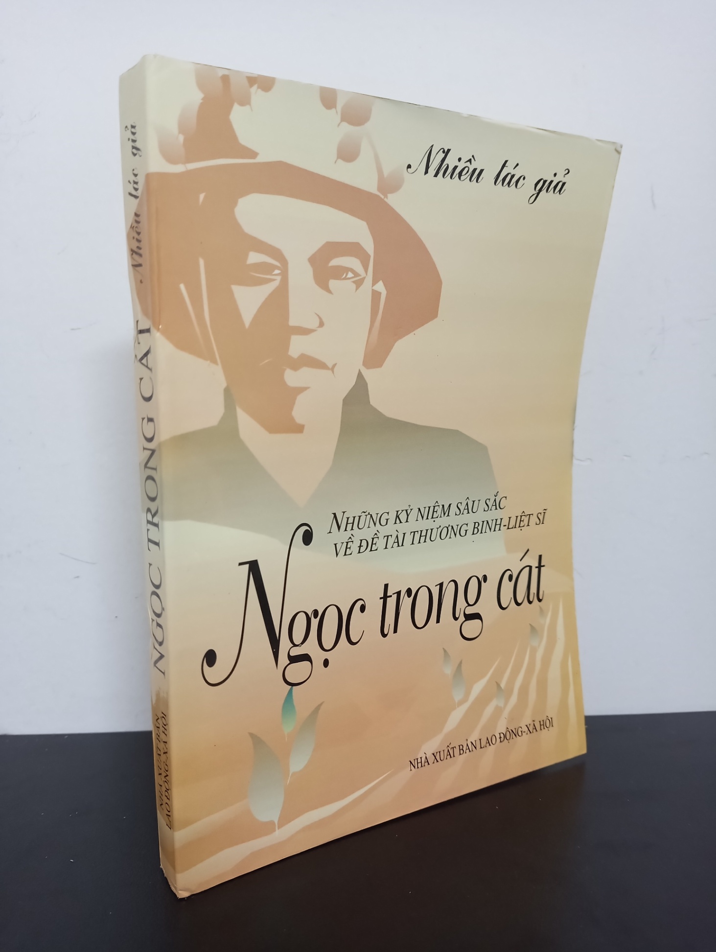 Ngọc Trong Cát - Những Kỷ Niệm Sâu Sắc Về Đề Tài Thương Binh - Liệt Sĩ (1999) Mới 90% HCM.ASB1303