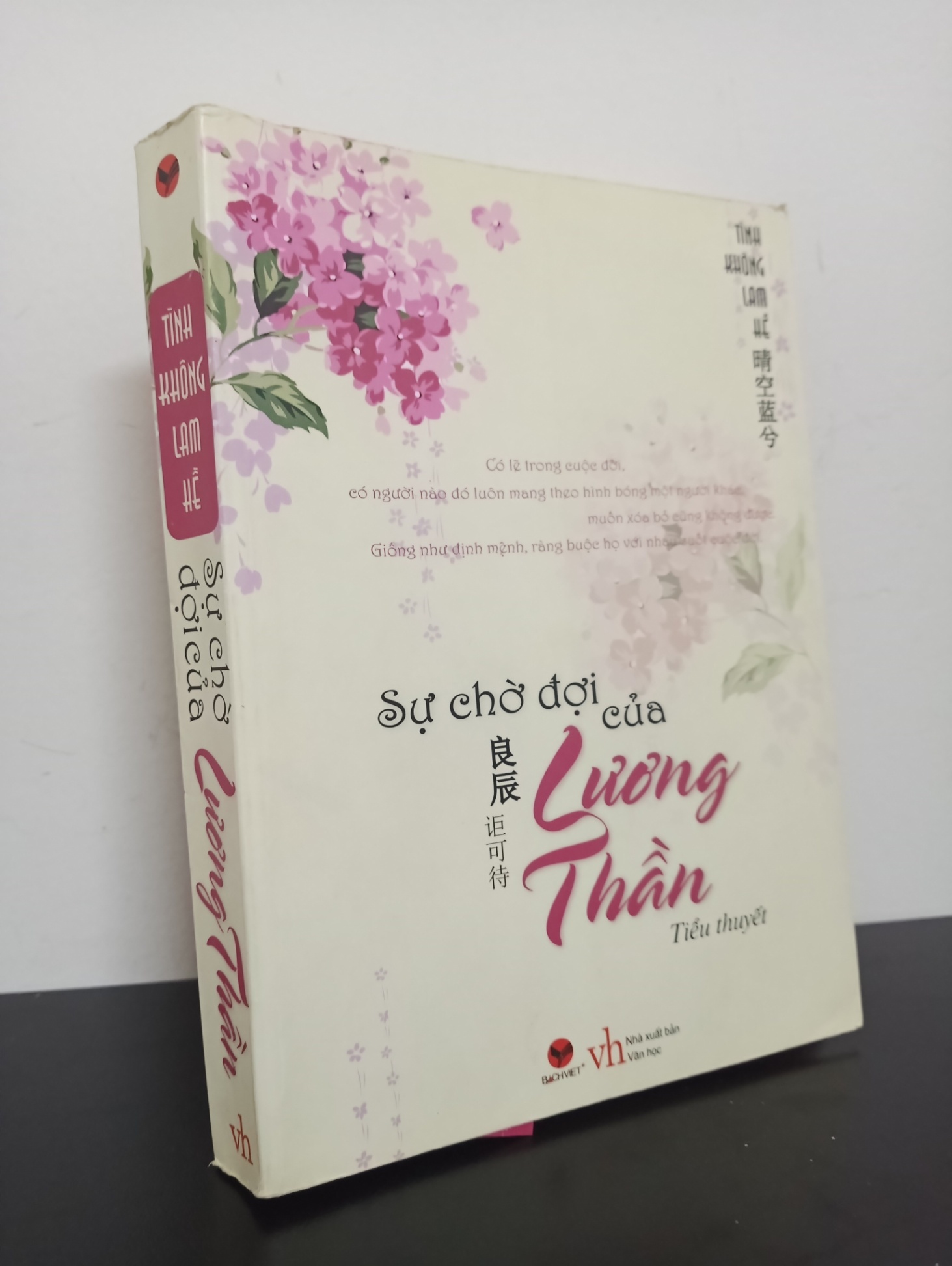 Sự Chờ Đợi Của Lương Thần (2012) - Tình Không Lam Hề Mới 90% HCM.ASB1303