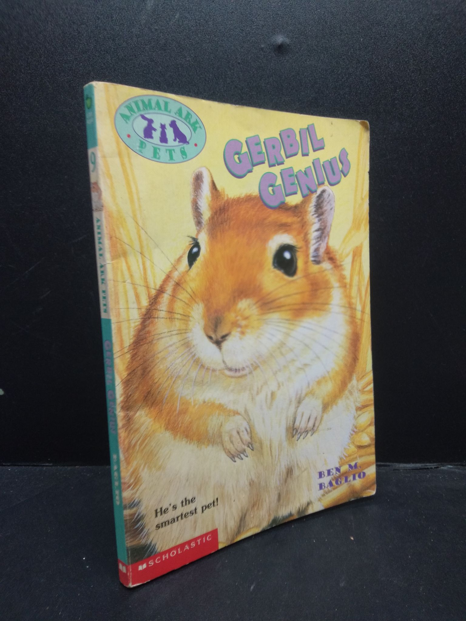 Gerbil Genius 2000 mới 70% ố vàng HCM2902 ngoại văn