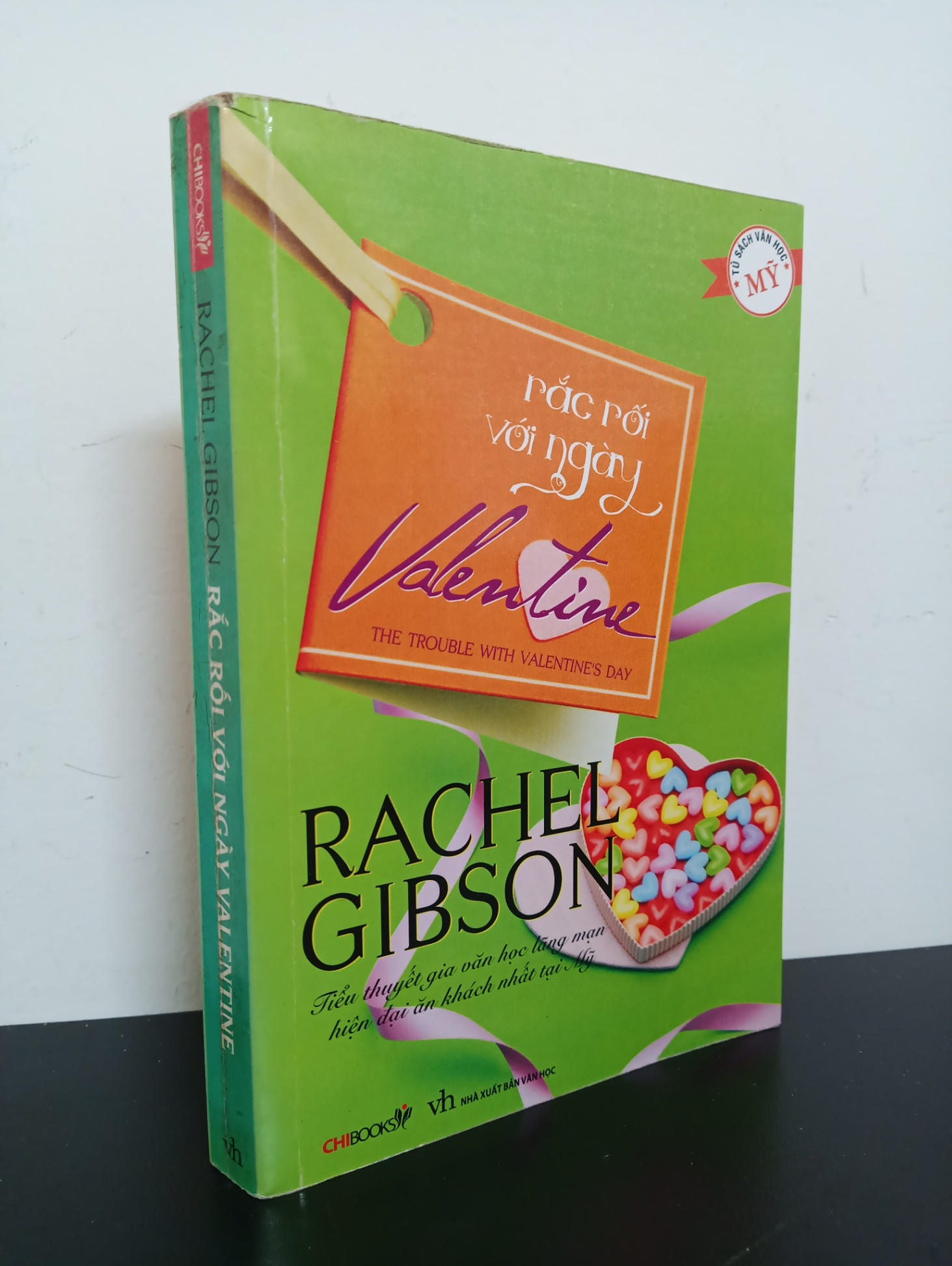 Tủ Sách Văn Học Mỹ - Rắc Rối Với Ngày Valentine (2010) - Rachel Gibson Mới 90% HCM.ASB2103