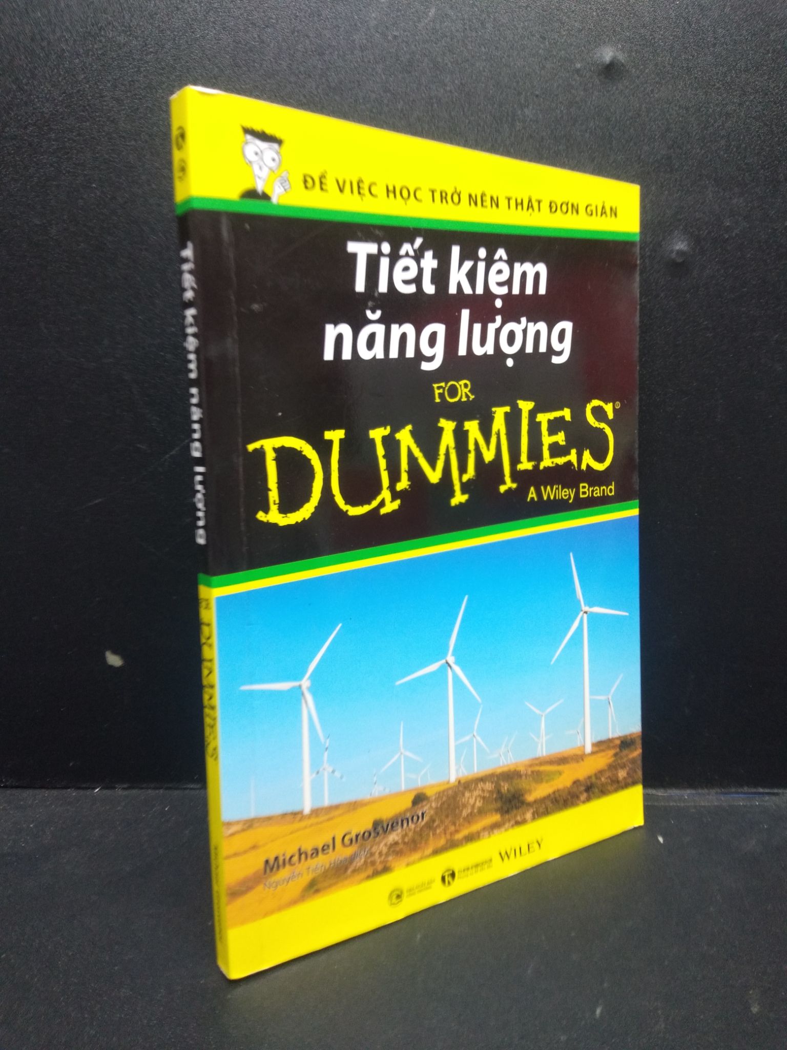 Tiết kiệm năng lượng for dummies a wiley brand Michael Grosvenor 2022 mới 95% bẩn nhẹ HCM.ASB0309