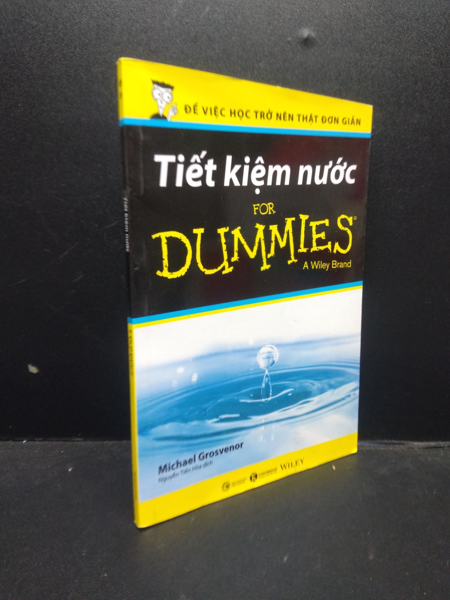 Tiết kiệm nước for dummies a wiley brand Michael Grosvenor 2022 mới 95% HCM.ASB0309