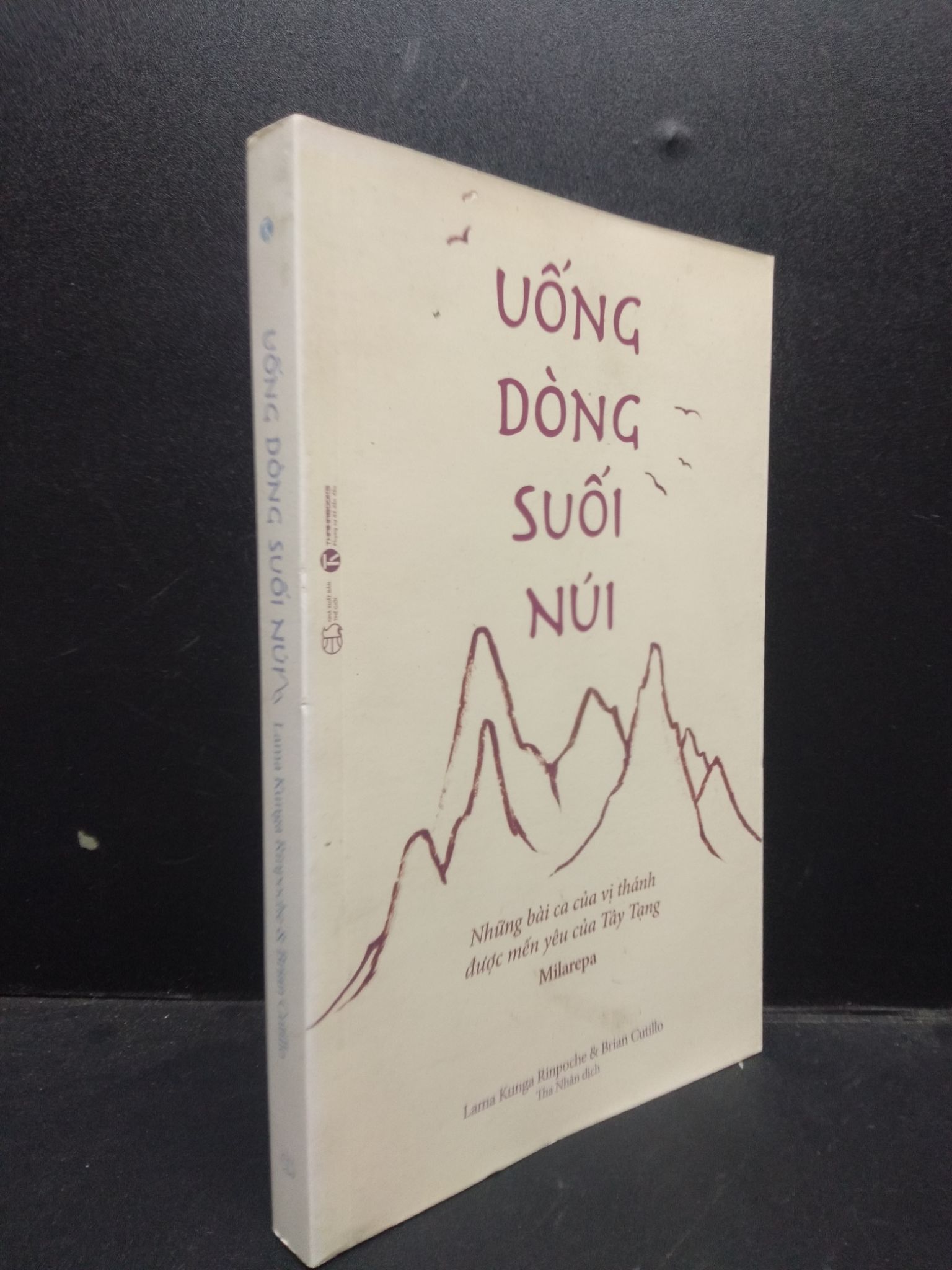 Uống dòng suối núi Lama Kunga Rinpoche và Brian Cutillo 2019 Mới 80% bẩn nhẹ lỗi màu gáy HCM.ASB0309