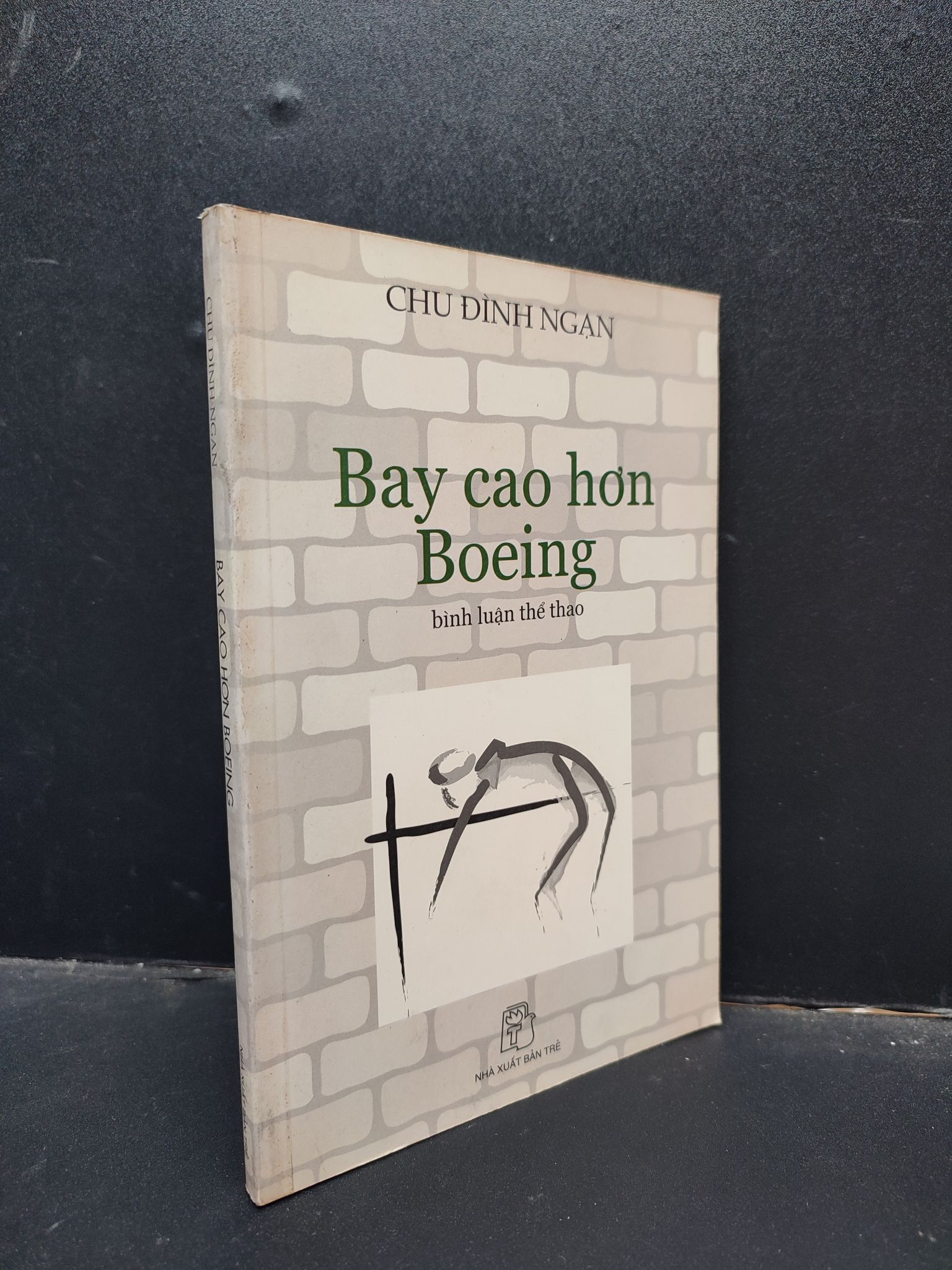 Bay Cao Hơn Boeing, Chu Đình Ngạn/ Nguyễn Nhật Ánh, 2005 mới 80% (Ố Vàng) HCM1304 văn học