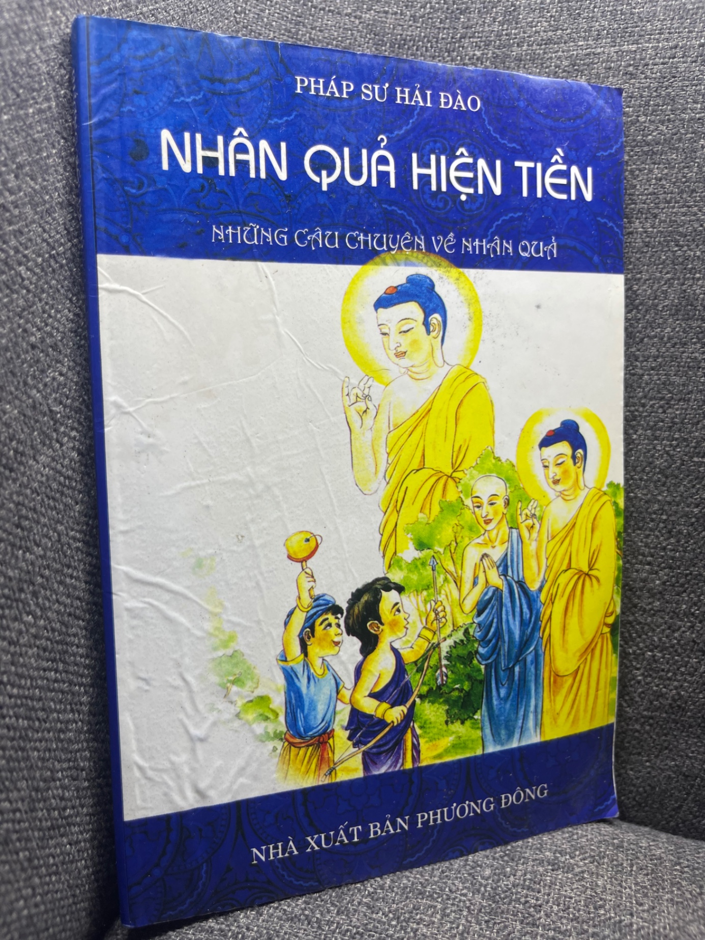 Nhân quả hiện tiền Những câu chuyện về nhân quả Pháp sư Hải Đào 2008 mới 70% ố gấp nếp HPB1704