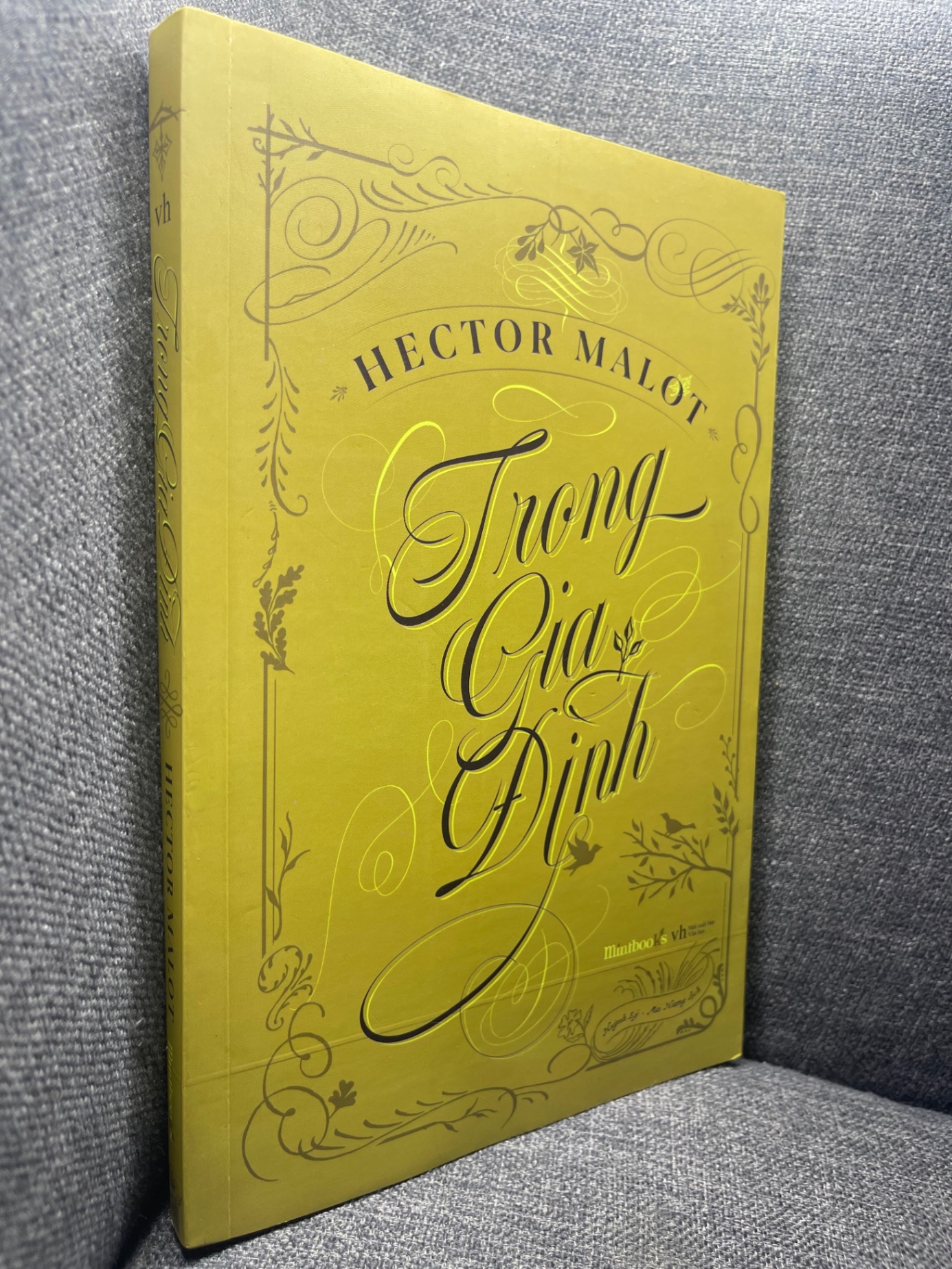 Trong gia đình Hector Malot 2019 mới 90% HPB1704