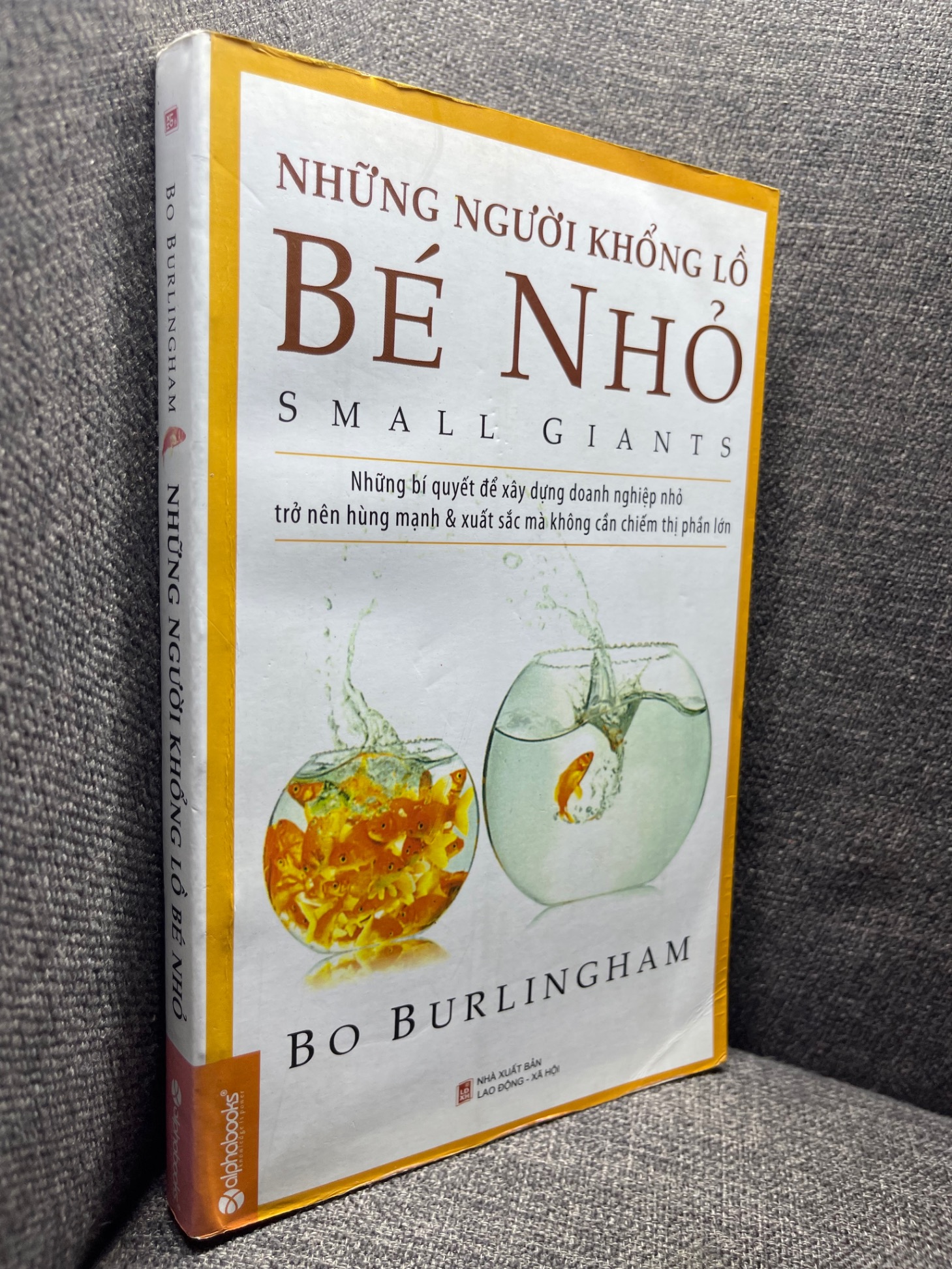 Những người khổng lồ bé nhỏ Bo Burlingham 2013 mới 80% HPB1704