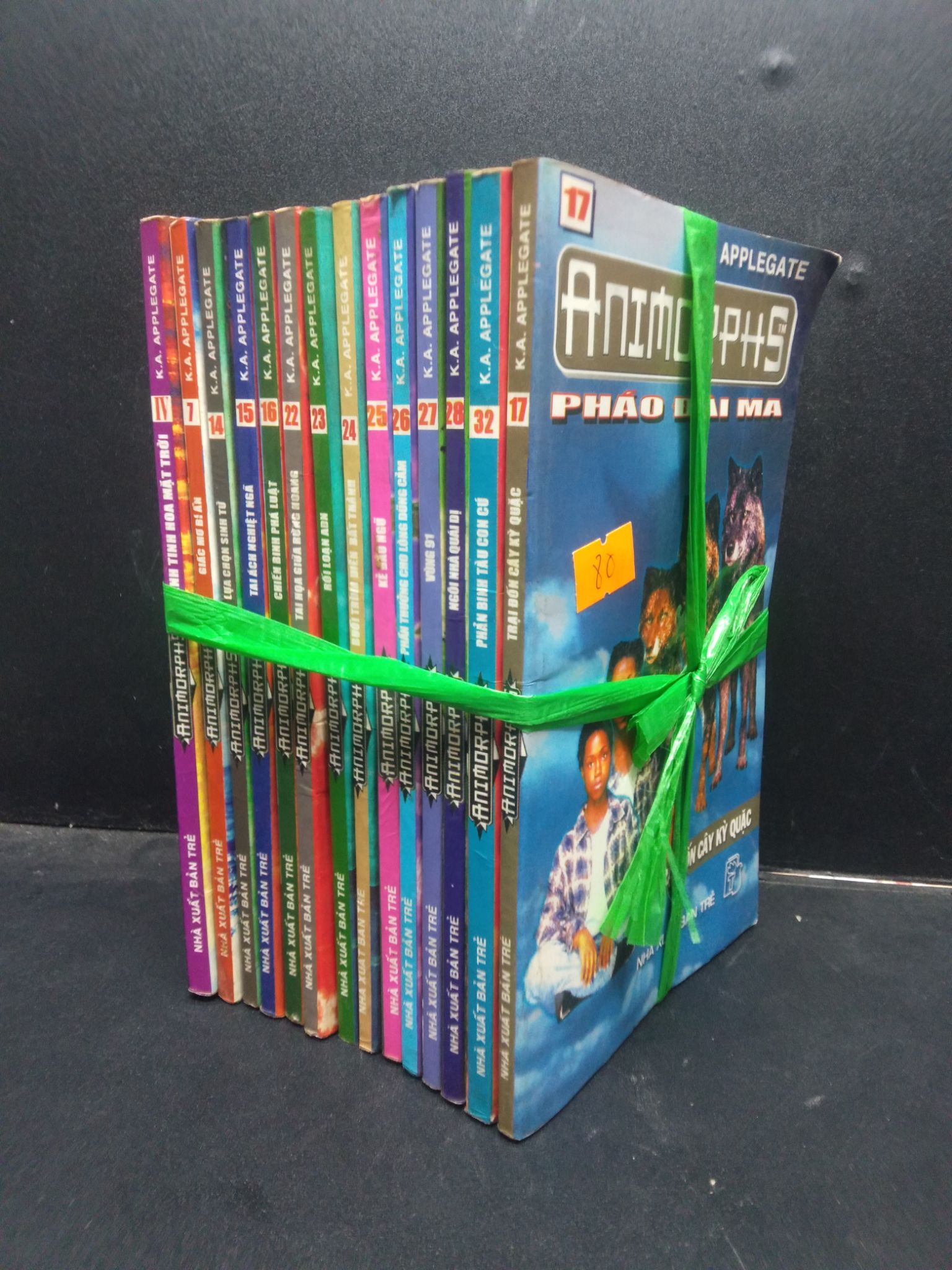 Bộ 14 cuốn (tập IV, 7, 14, 15, 16, 17, 22, 23, 24, 25, 26, 27, 28, 32) Animorphs - K. A. Applegate mới 70% ố vàng HCM2404 văn học