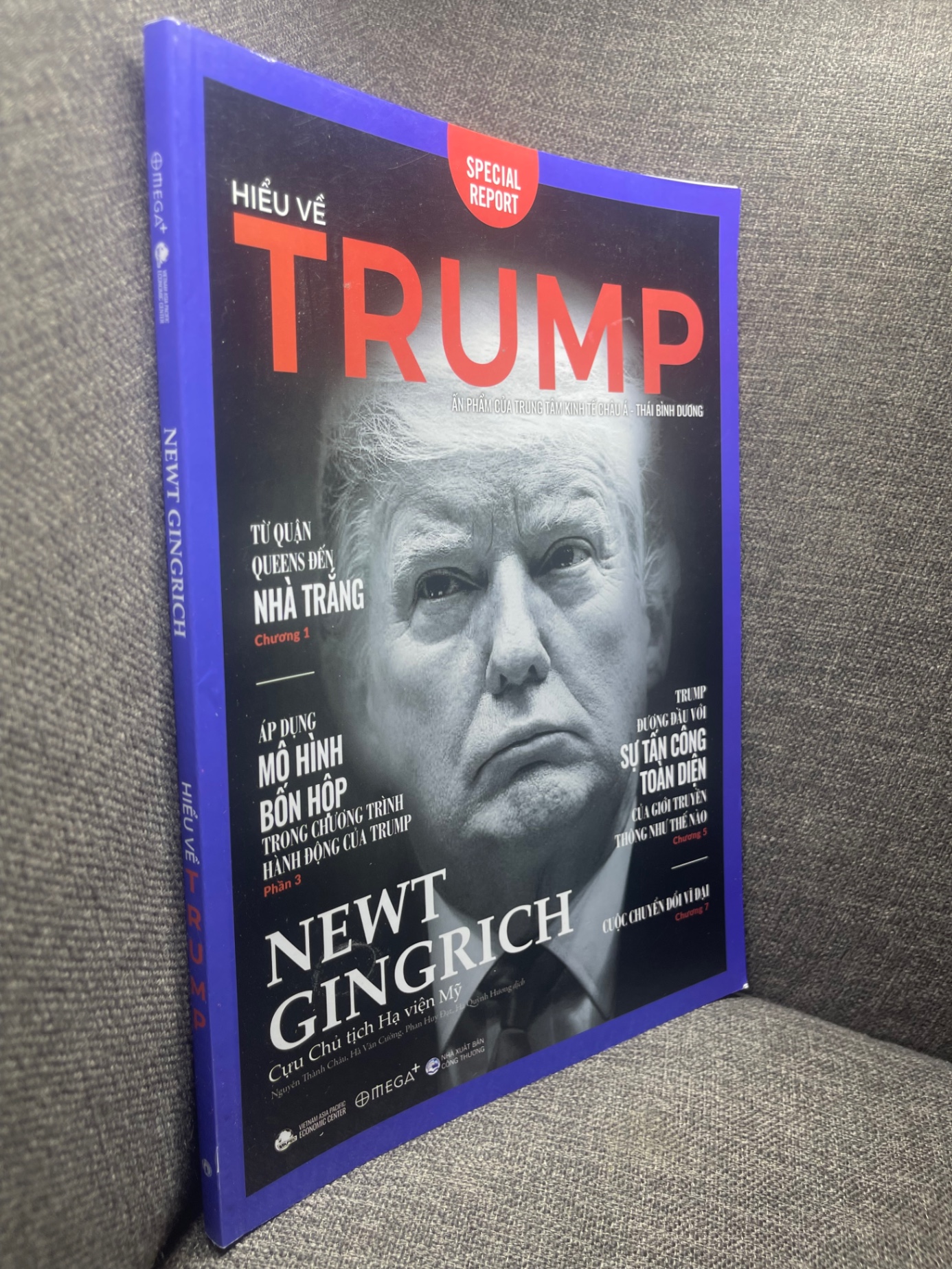 Hiểu về Trump Newt Gingrich 2019 mới 90% HPB0405