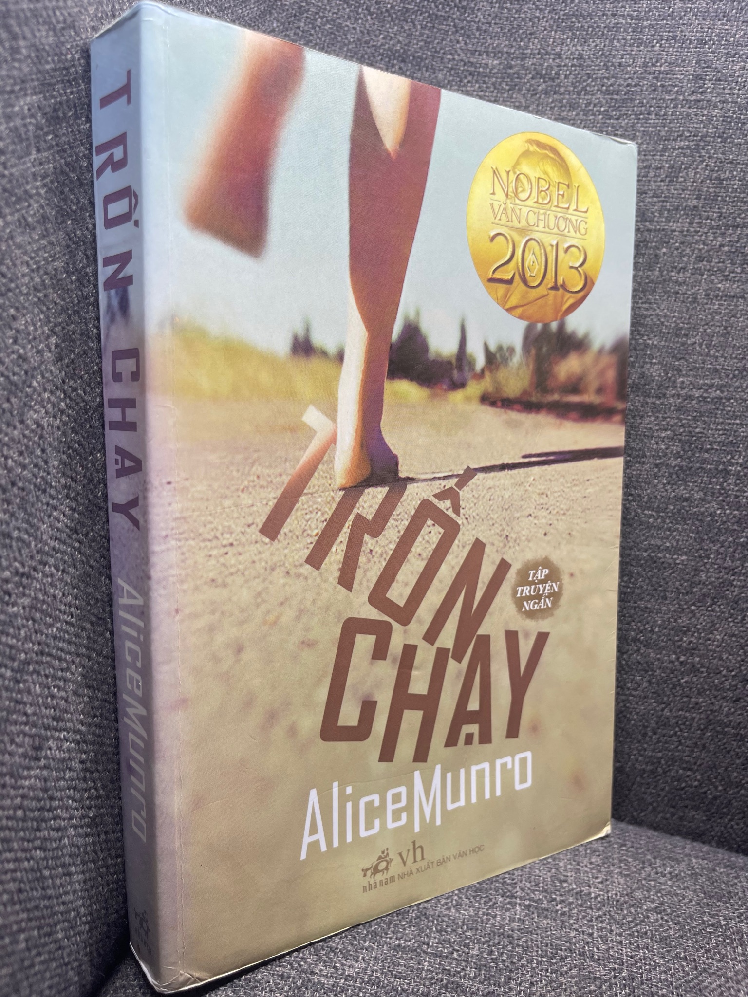 Trốn chạy Alice Munro 2013 mới 85% cong ẩm nhẹ HPB1305