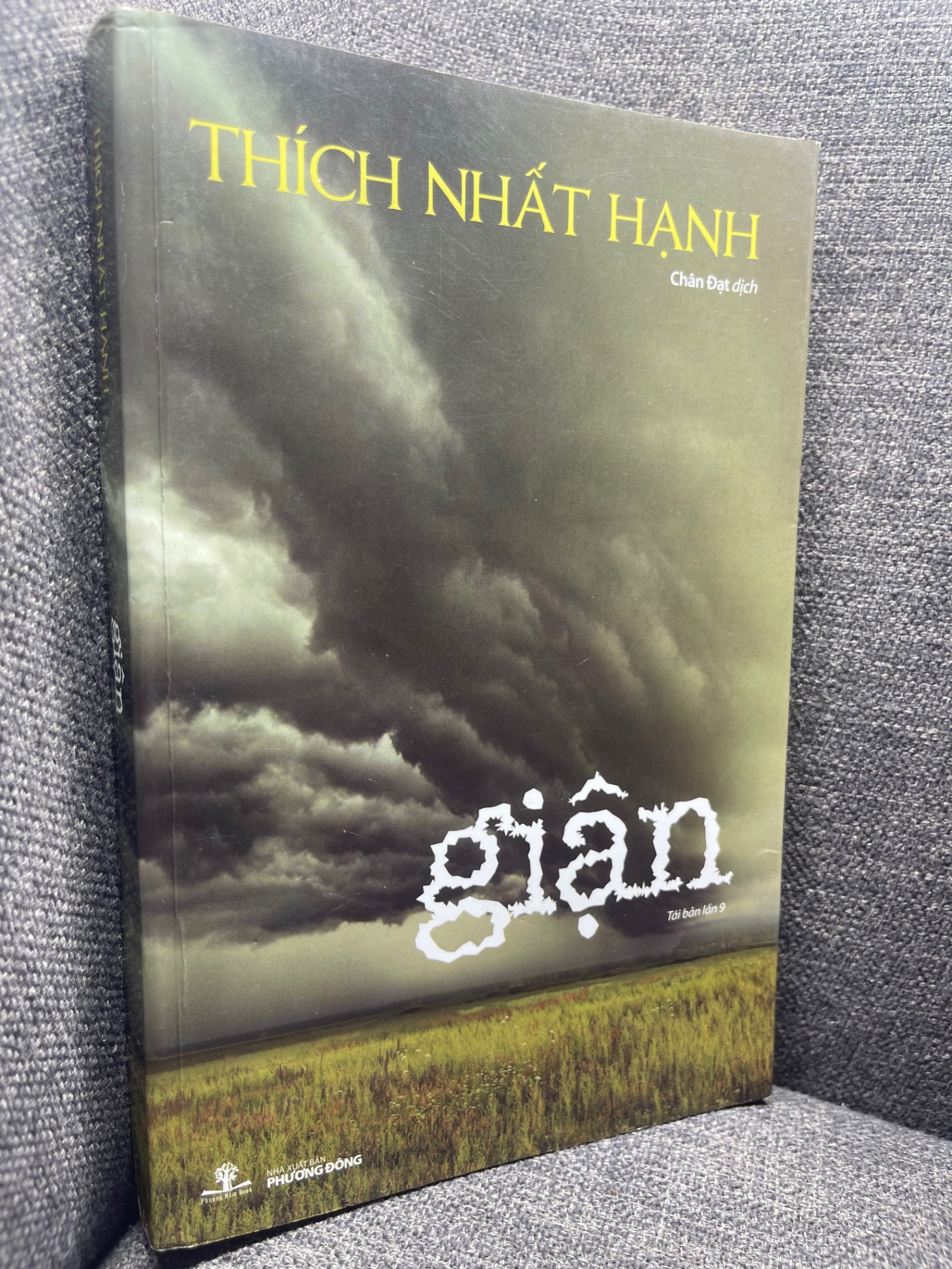 Giận Thích Nhất Hạnh 2016 mới 75% ố vàng HPB1305