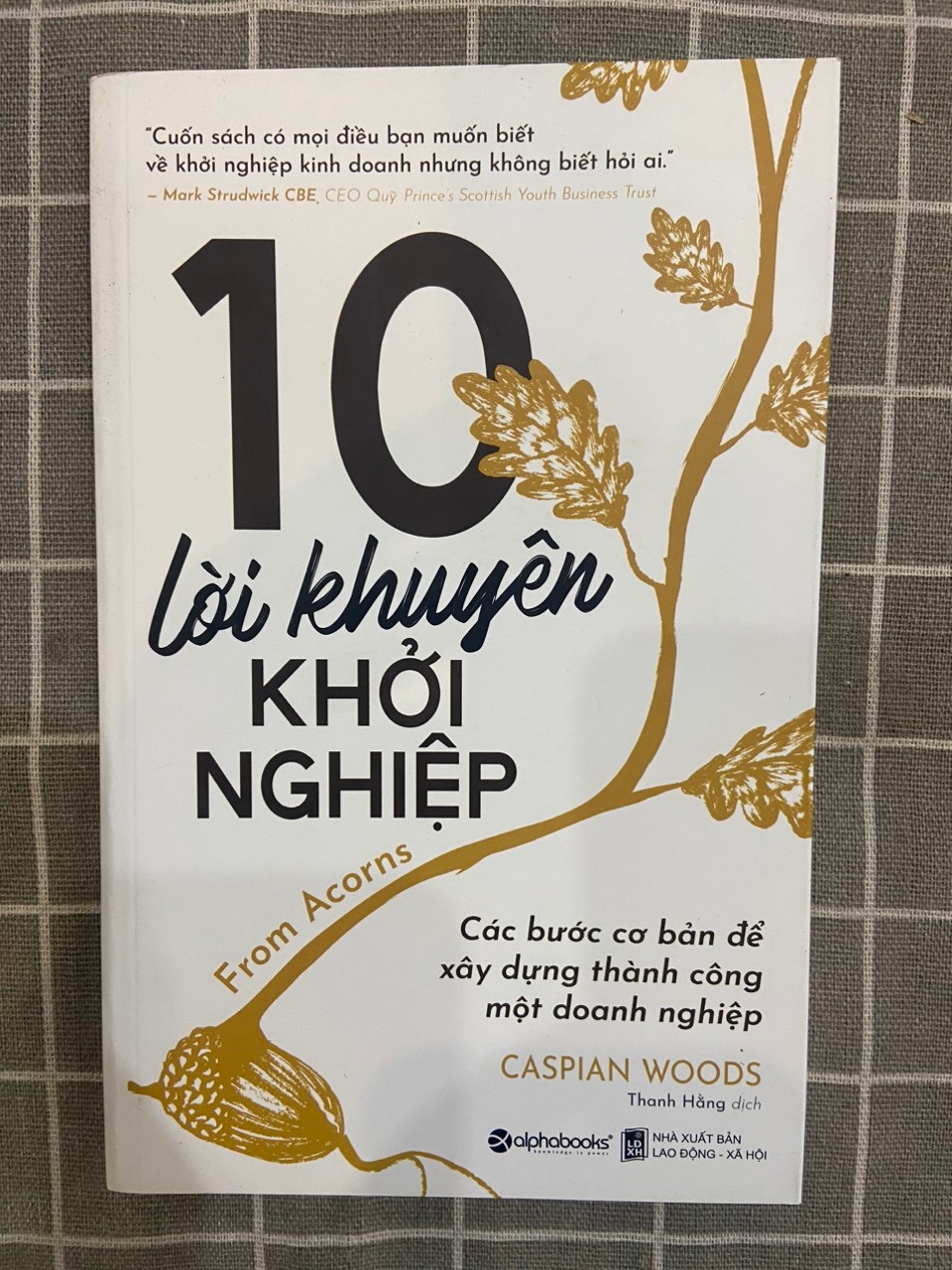 10 lời khuyên khởi nghiệp Mới 90% 2019 Caspian Woods TSTK1705 SÁCH KINH TẾ - TÀI CHÍNH - CHỨNG KHOÁN