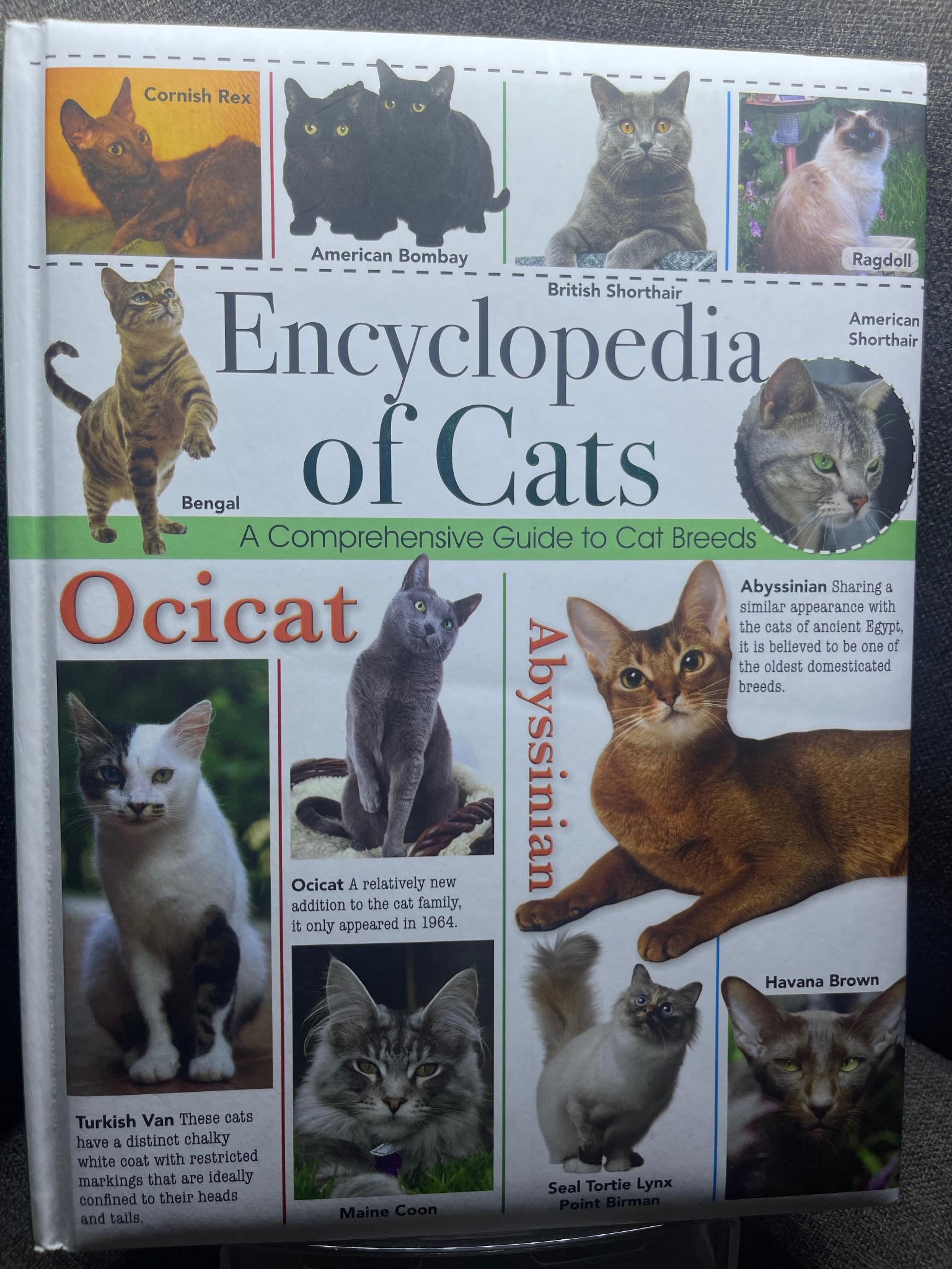 Encyclopedia of cats mới 90% sách tranh màu ngoại văn và thiếu nhi các loài mèo HPB1605 SÁCH NGOẠI VĂN