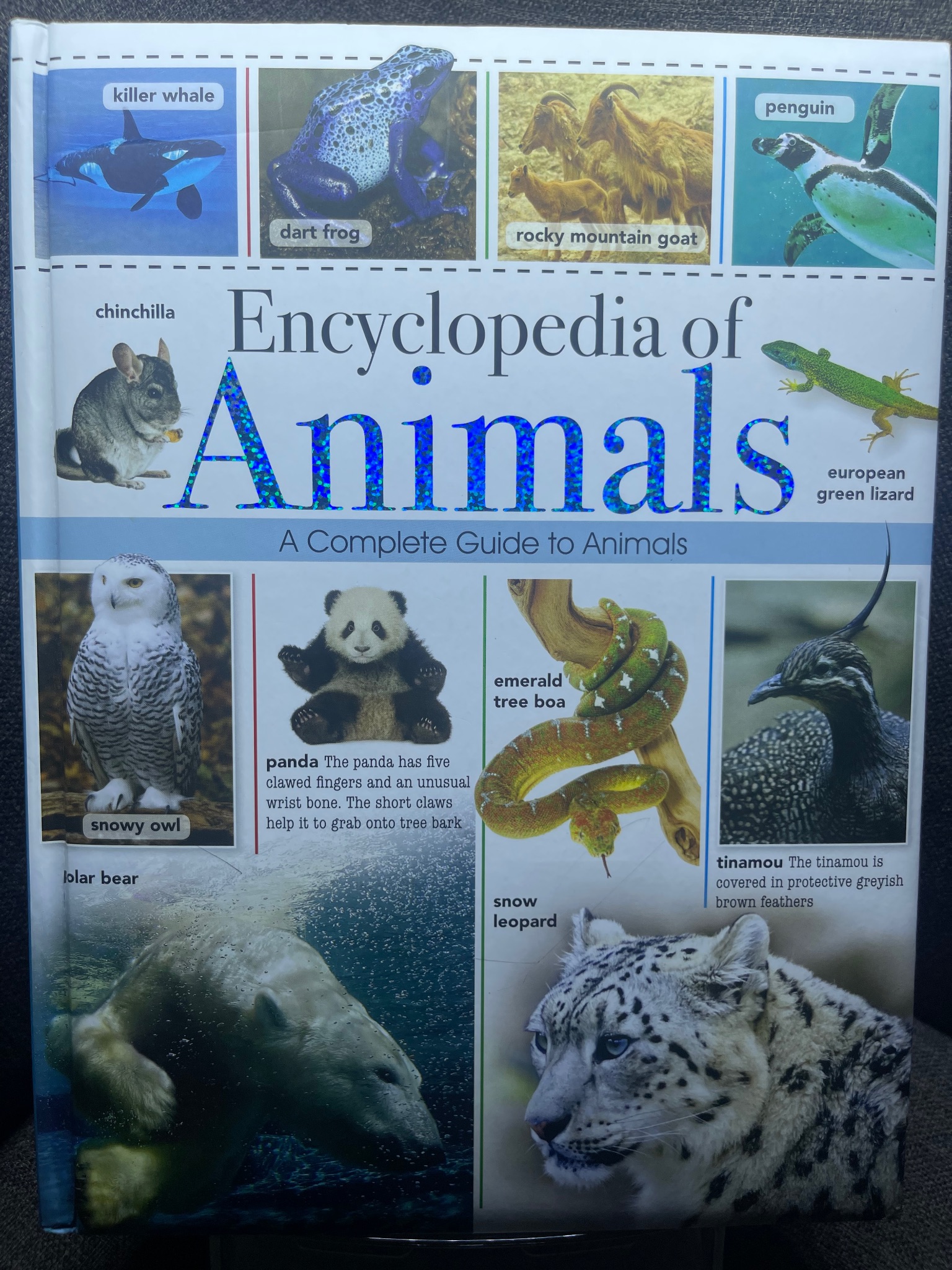 Encyclopedia of animals mới 90% sách tranh màu ngoại văn và thiếu nhi động vật HPB1605 SÁCH NGOẠI VĂN