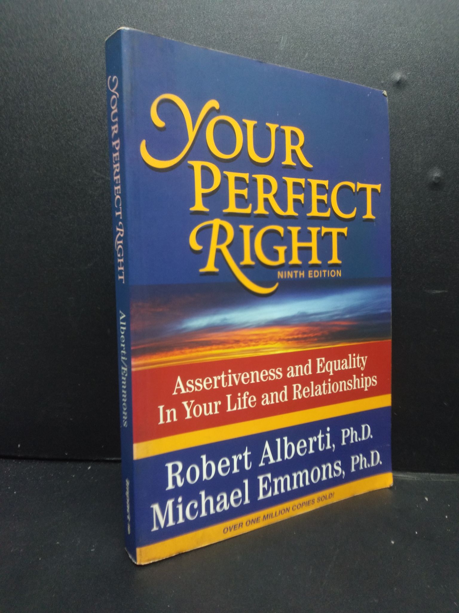 Your perfect right mới 70% ố bẩn HCM2405 Alberti - Emmons SÁCH NGOẠI VĂN