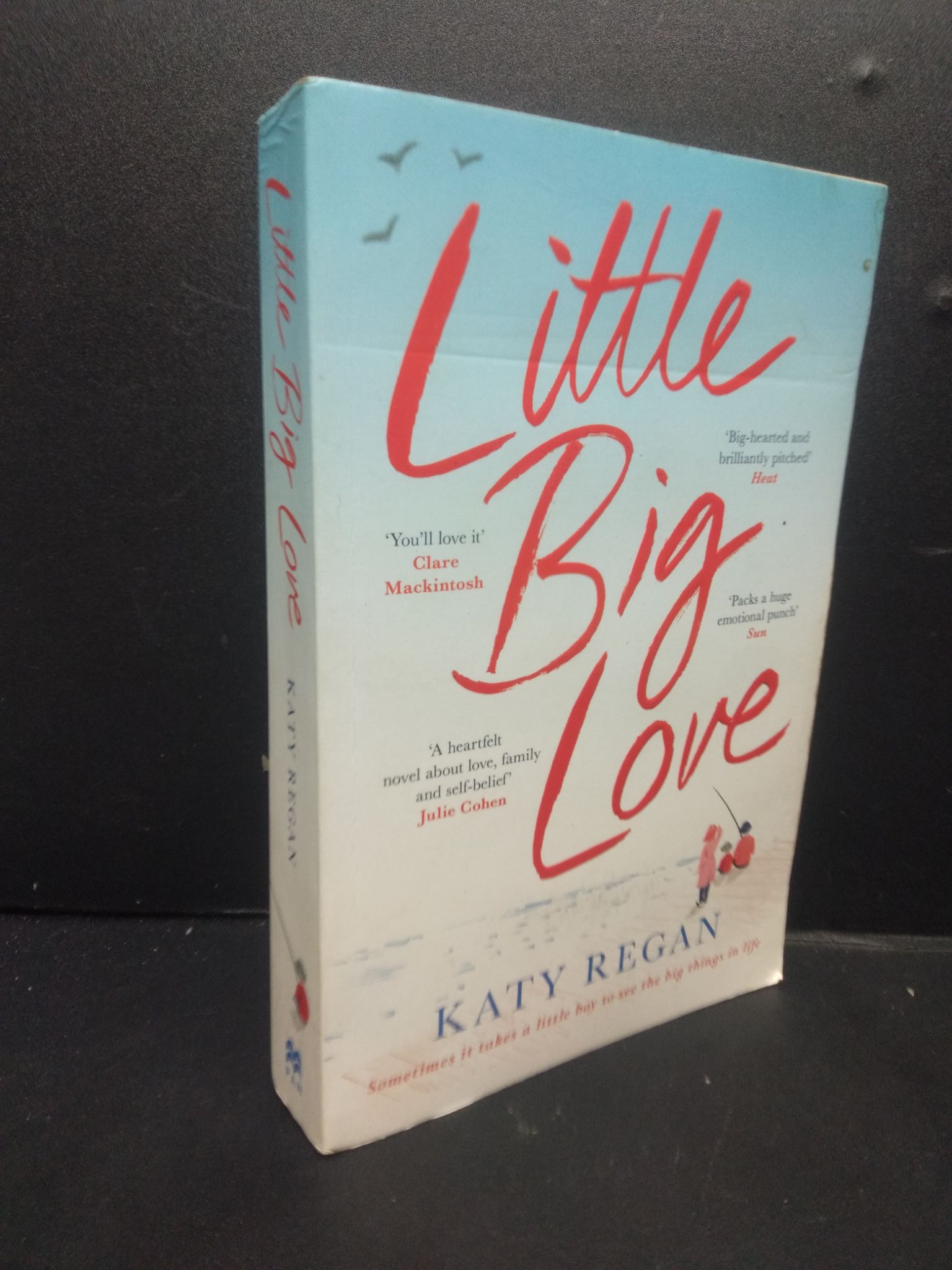 Little Big Love mới 60% ố vàng có viết tên trang cuối HCM2405 Katy Regan SÁCH NGOẠI VĂN