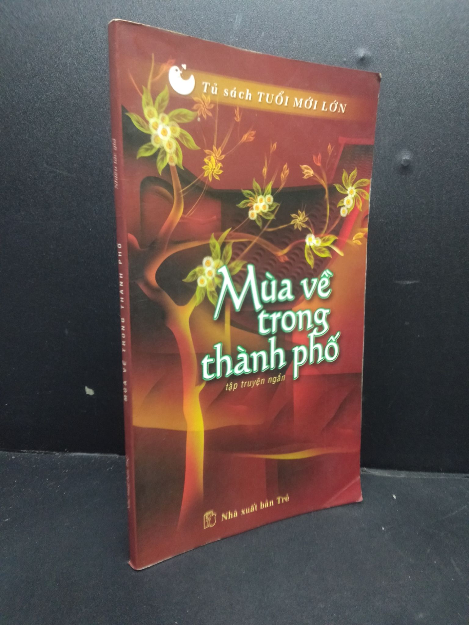 Mùa về trong thành phố nhiều tác giả 2002 mới 80% ố nhẹ HCM3105 văn học